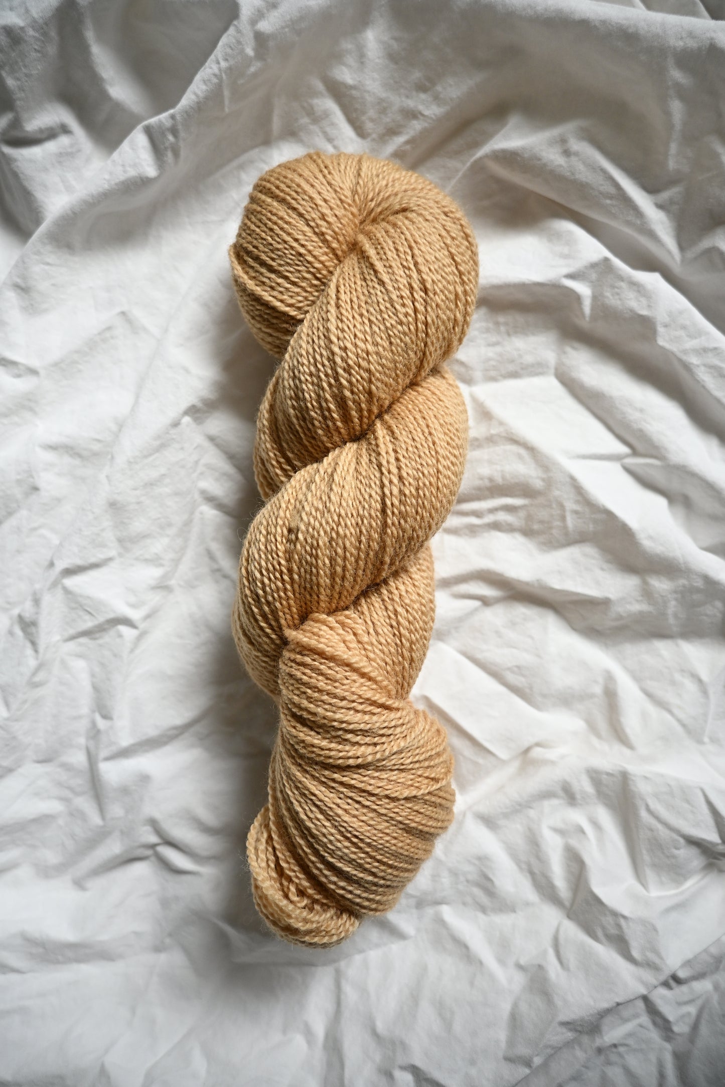 Dormouse - Natural BFL Fingering