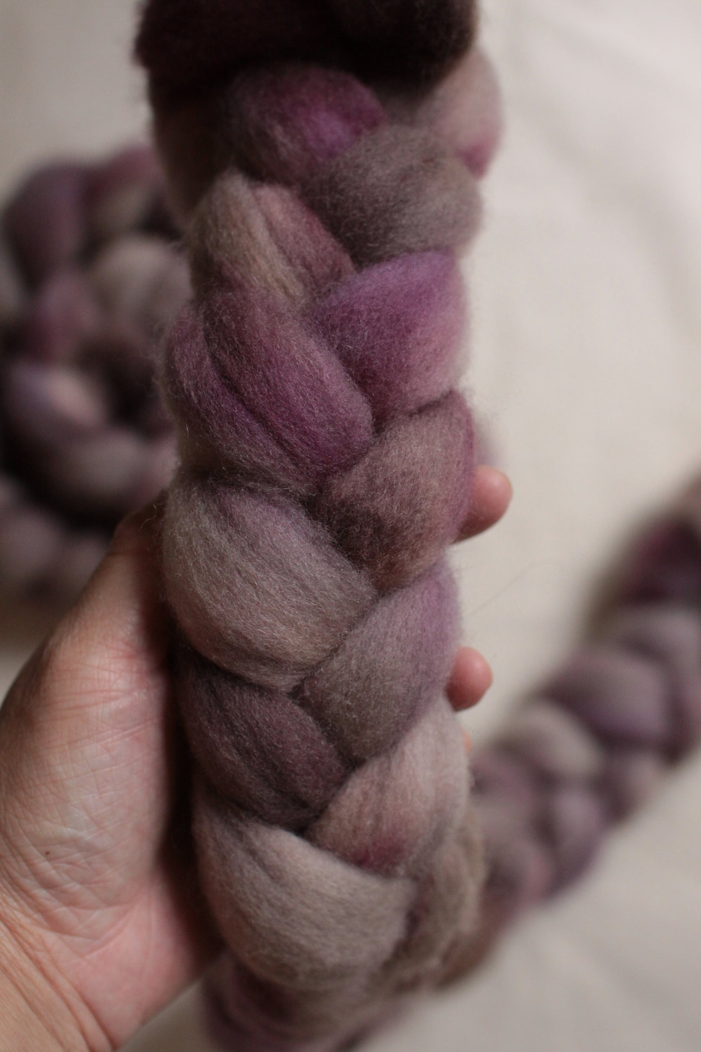 Indulgence (OOAK) - Polwarth combed top (nonsuperwash)