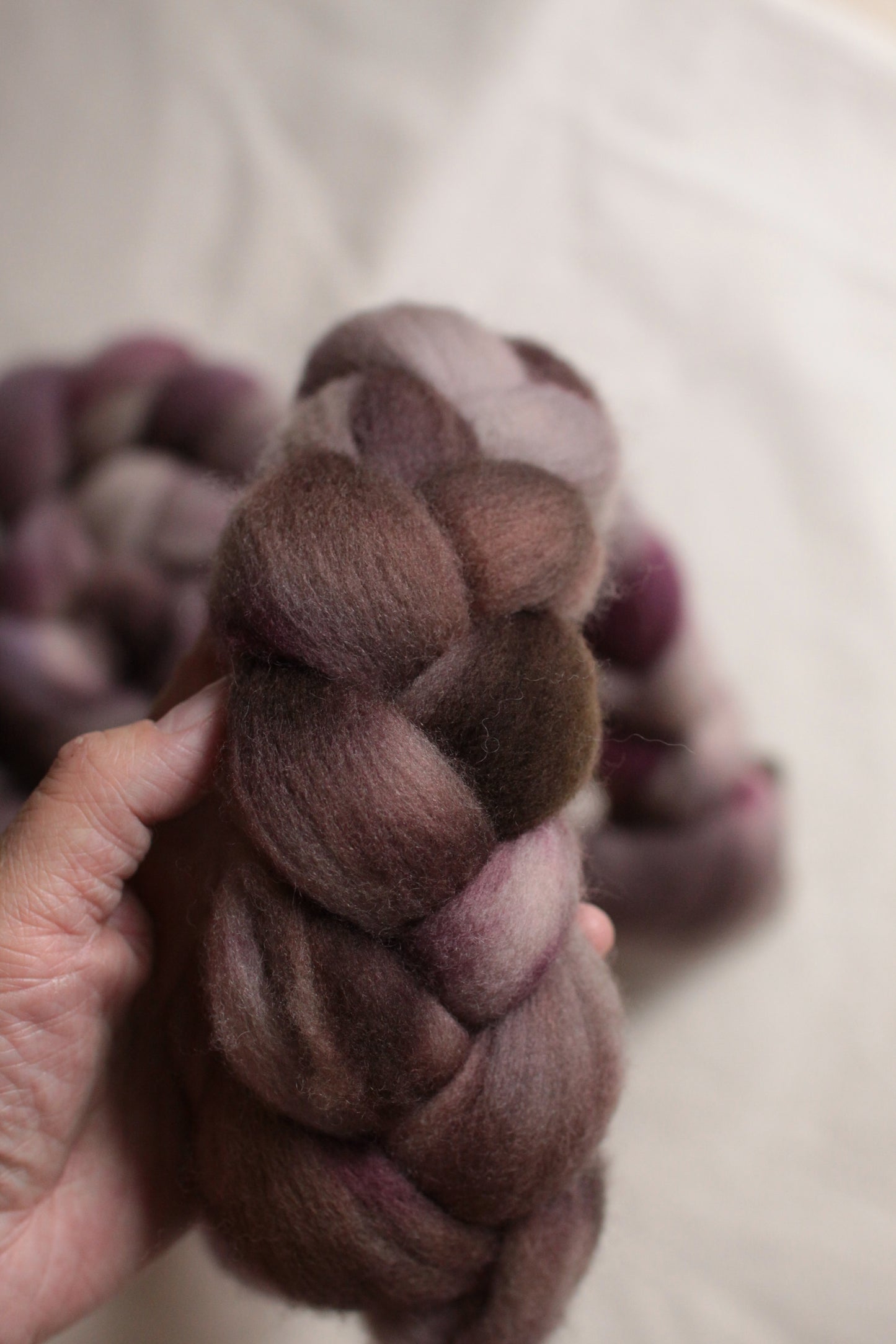 Indulgence (OOAK) - Polwarth combed top (nonsuperwash)