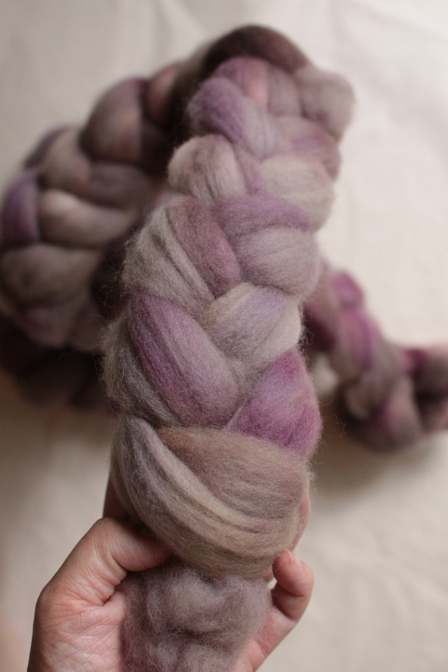 Indulgence (OOAK) - Polwarth combed top (nonsuperwash)