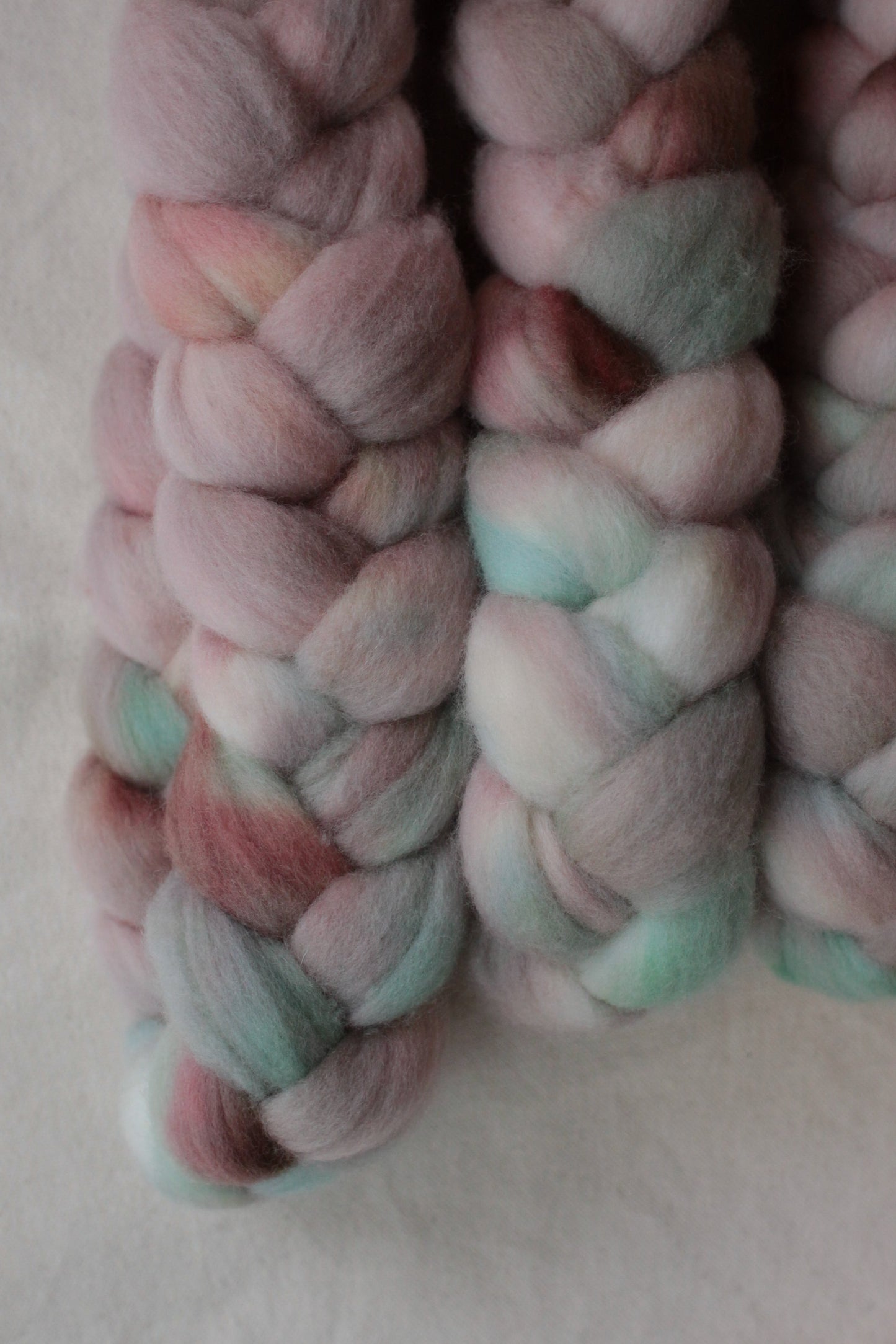 Amazonian Orchid - Polwarth combed top (nonsuperwash)