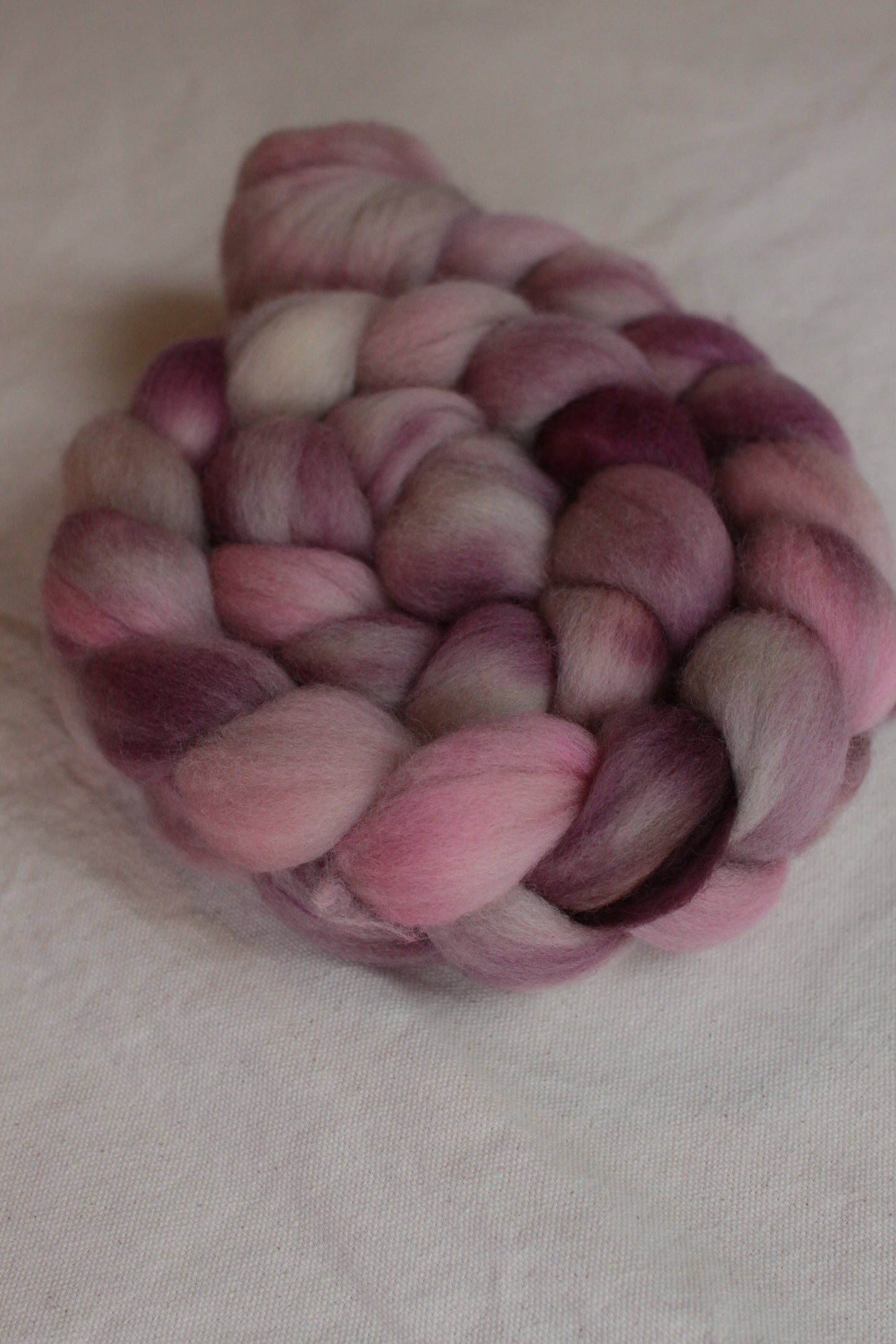 Infectious Love - Corriedale combed top (nonsuperwash)