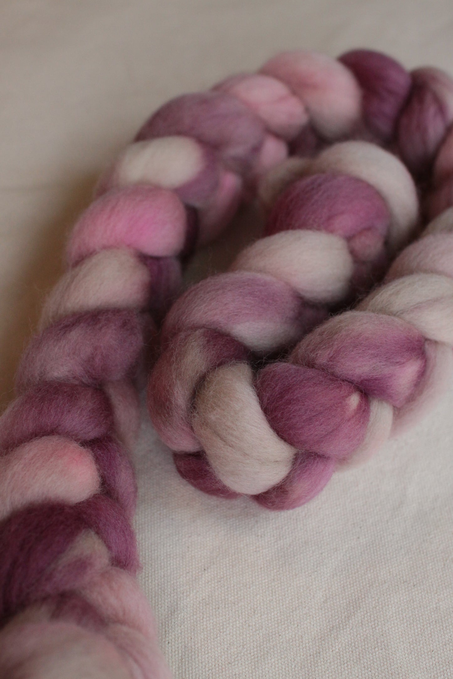Infectious Love - Corriedale combed top (nonsuperwash)