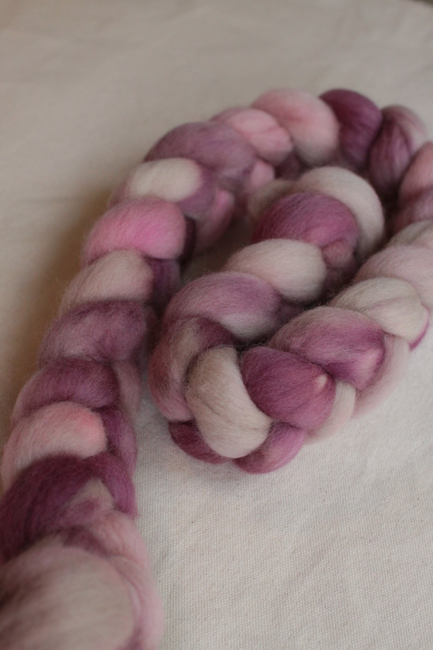 Infectious Love - Corriedale combed top (nonsuperwash)