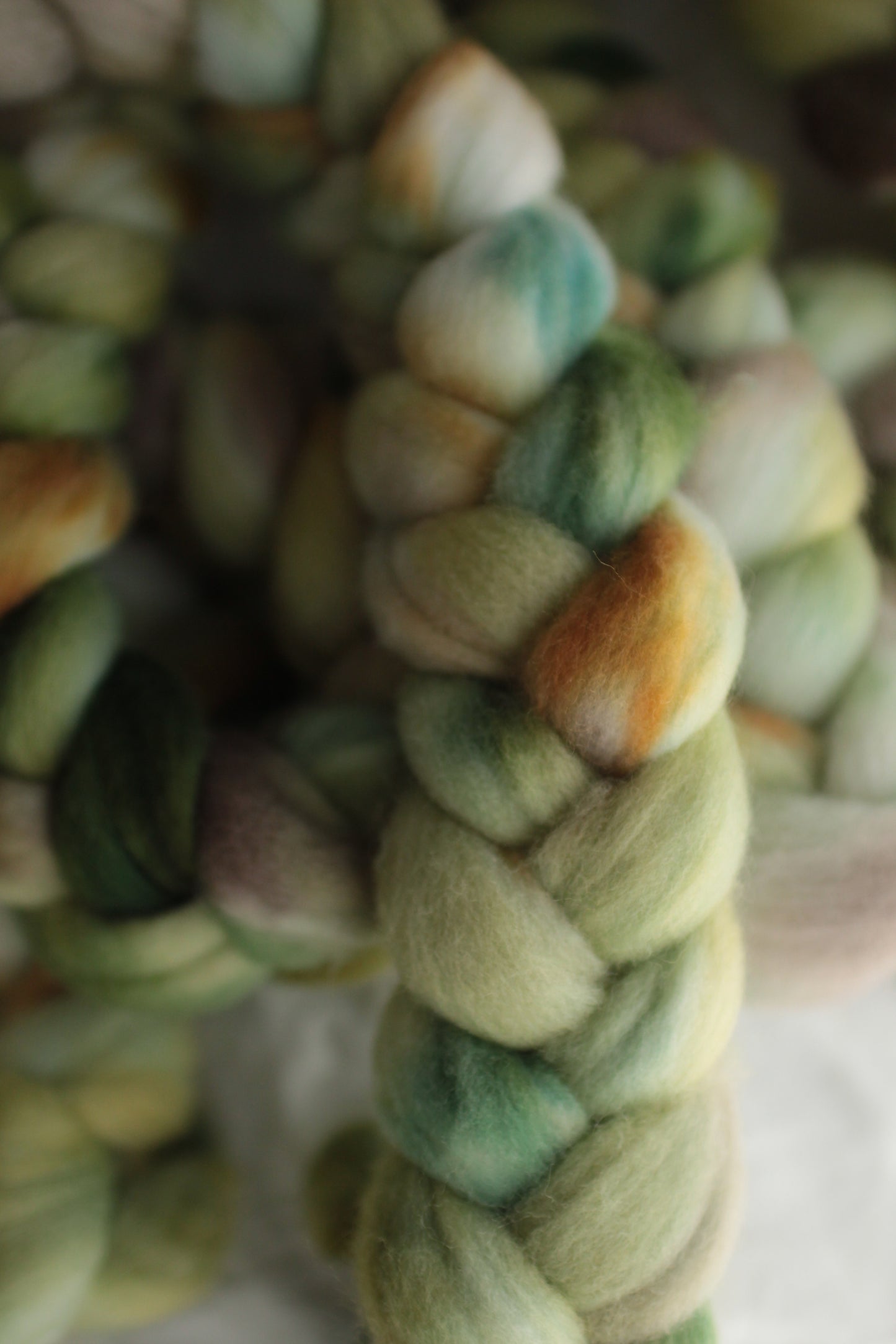 Bamboo Forest - Polwarth combed top (nonsuperwash)