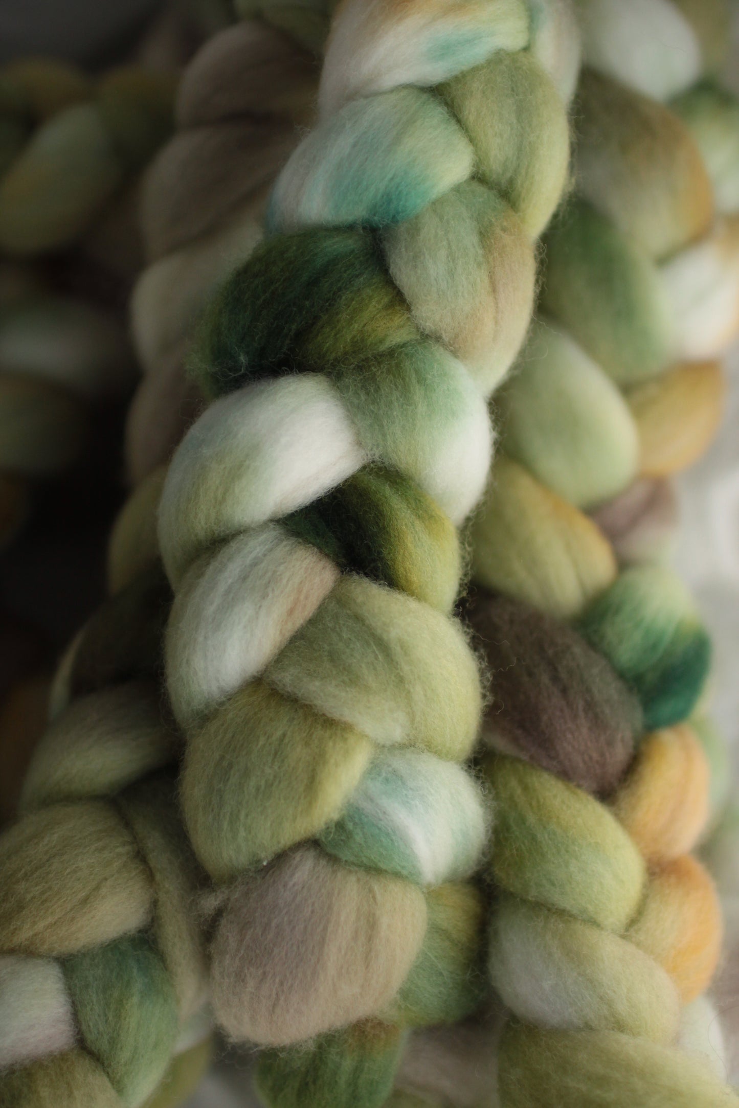 Bamboo Forest - Polwarth combed top (nonsuperwash)