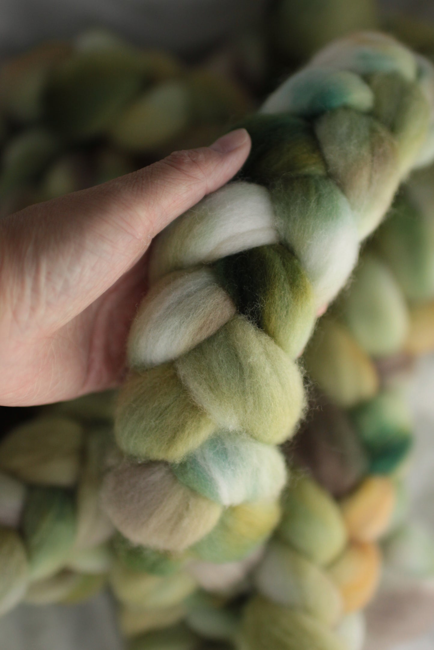 Bamboo Forest - Polwarth combed top (nonsuperwash)
