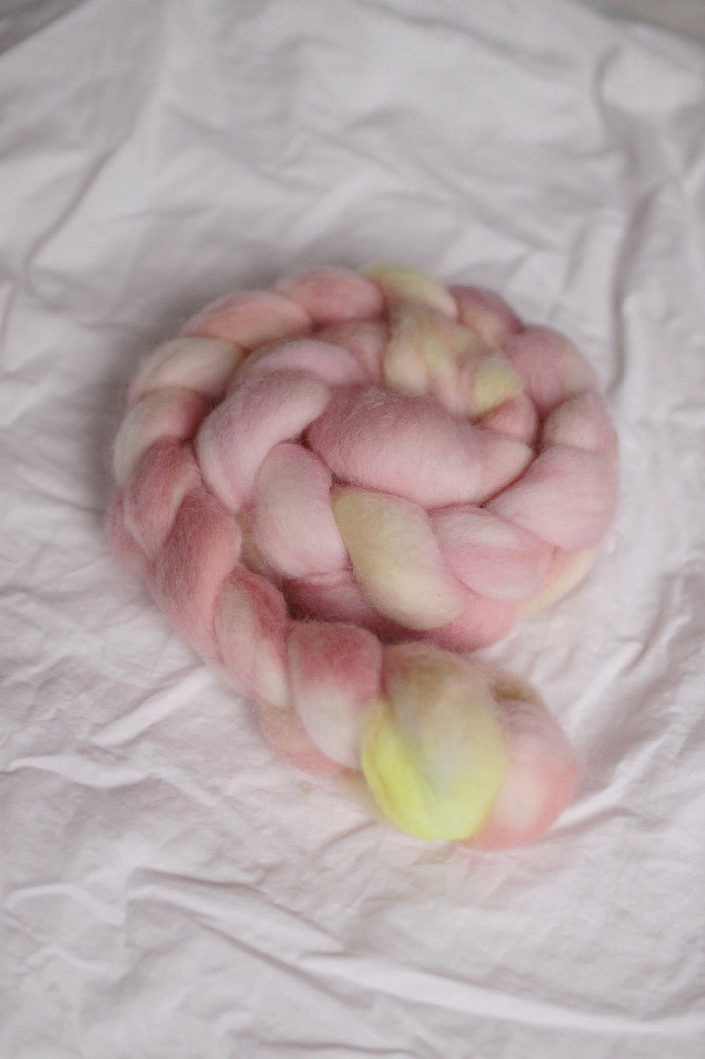 Lisbon Lemon - Kent Romney combed top (nonsuperwash)