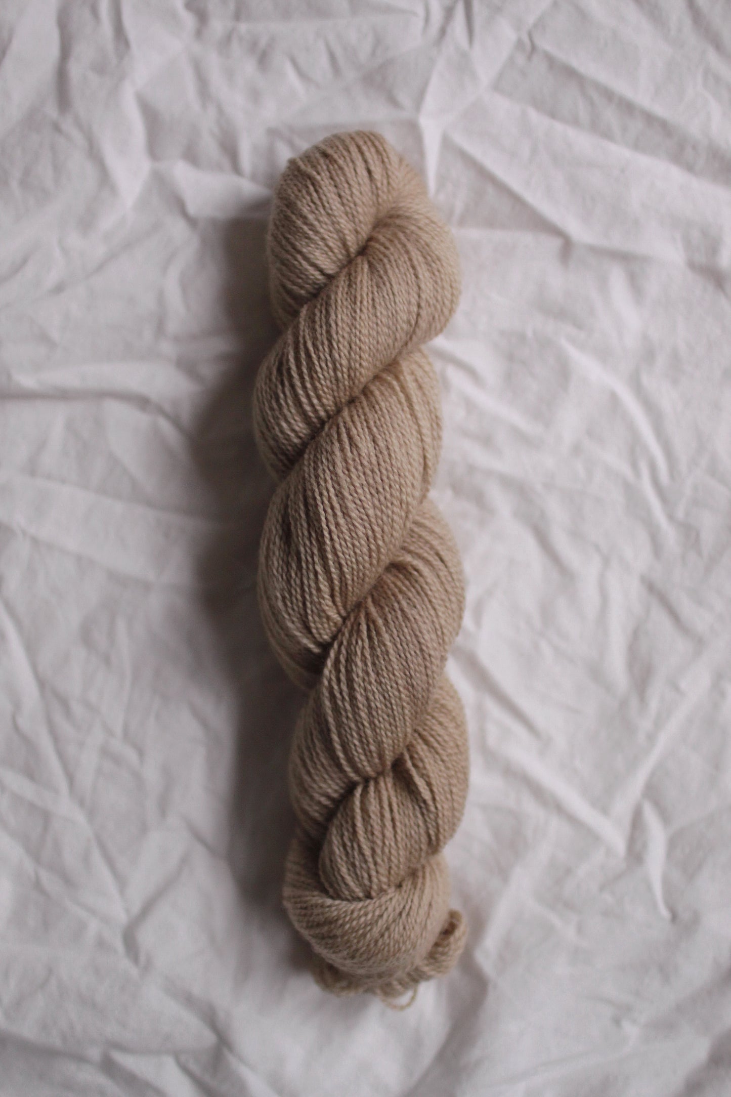 Late Latte - Natural BFL Fingering