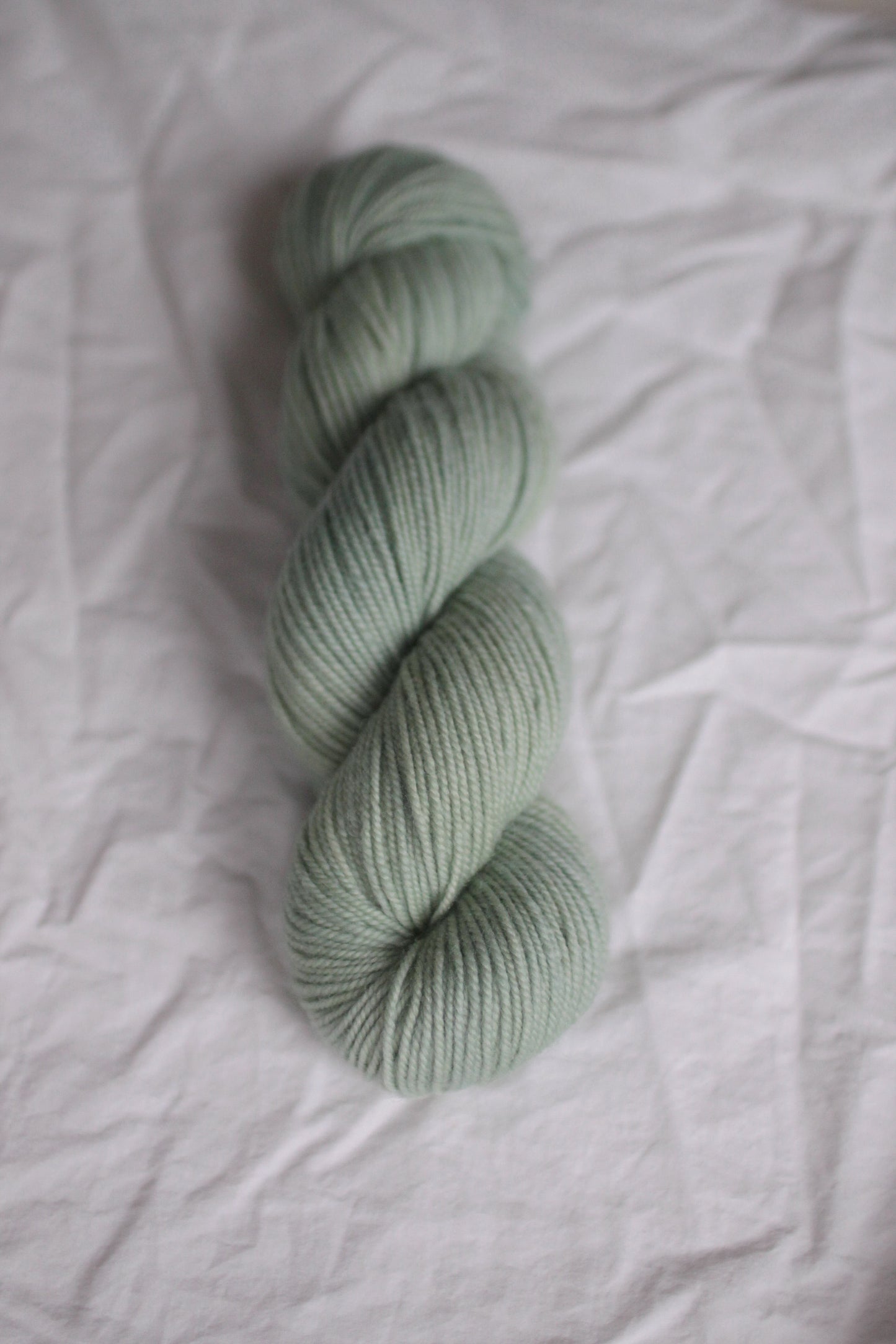 Lichen - Natural BFL Aran