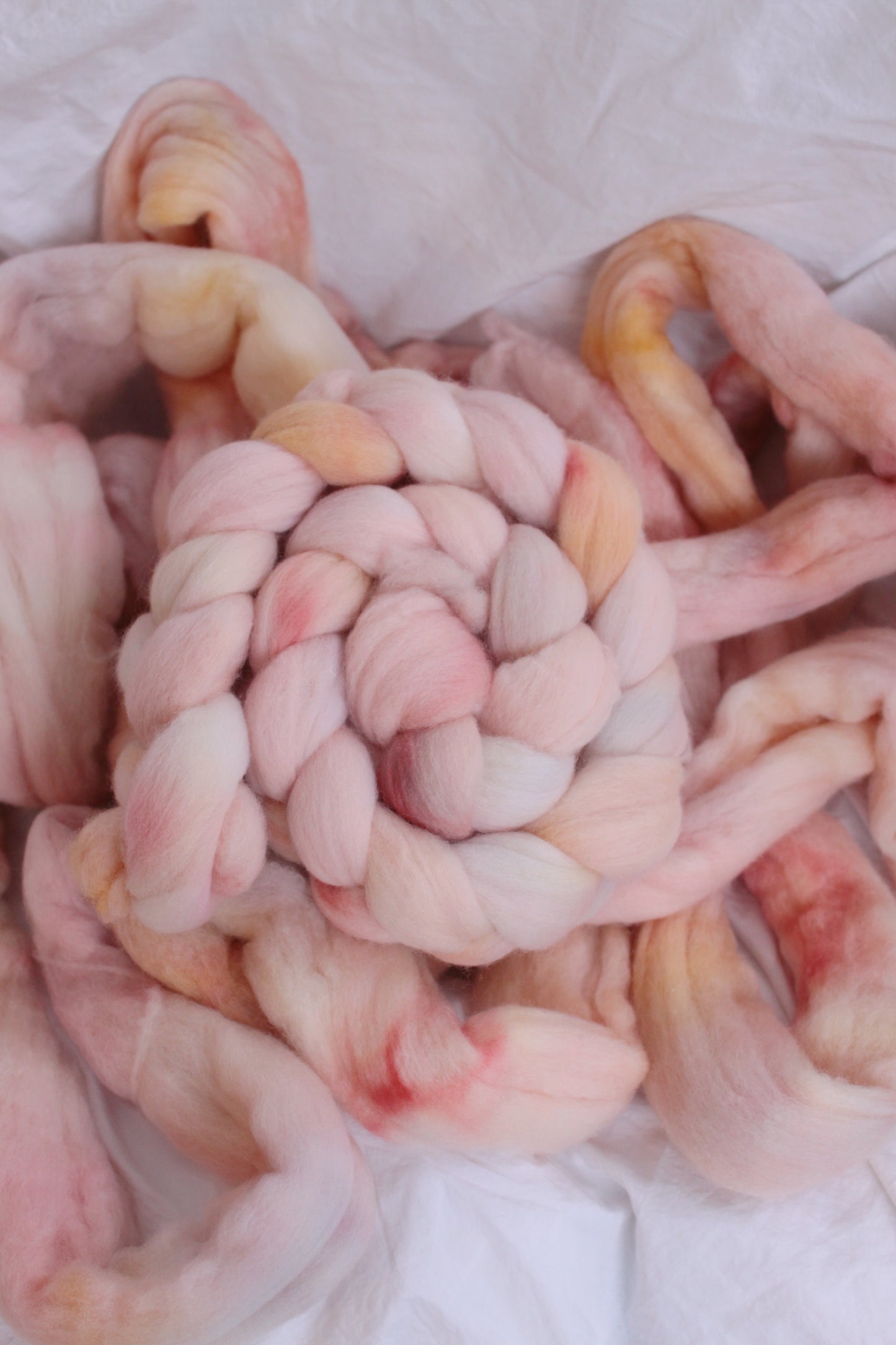 Peach Fuzz - Polwarth combed top (nonsuperwash)
