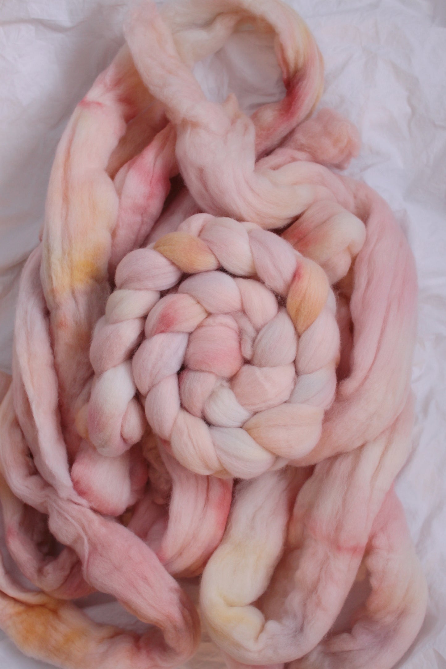 Peach Fuzz - Polwarth combed top (nonsuperwash)