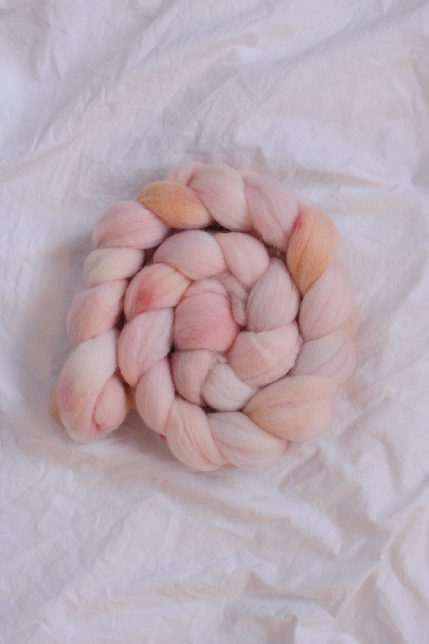 Peach Fuzz - Polwarth combed top (nonsuperwash)