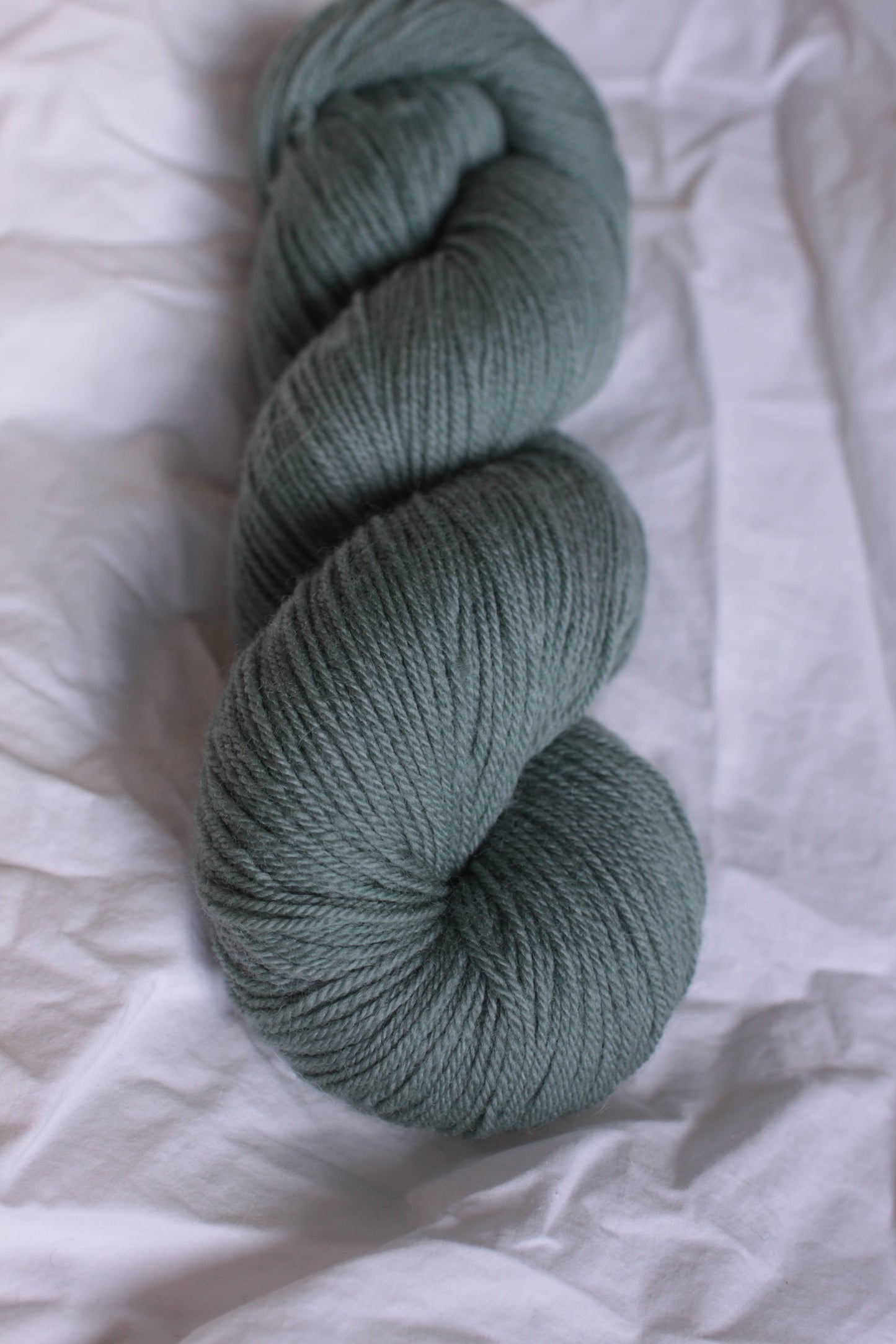 Into the Woods - Natural Merino Fingering