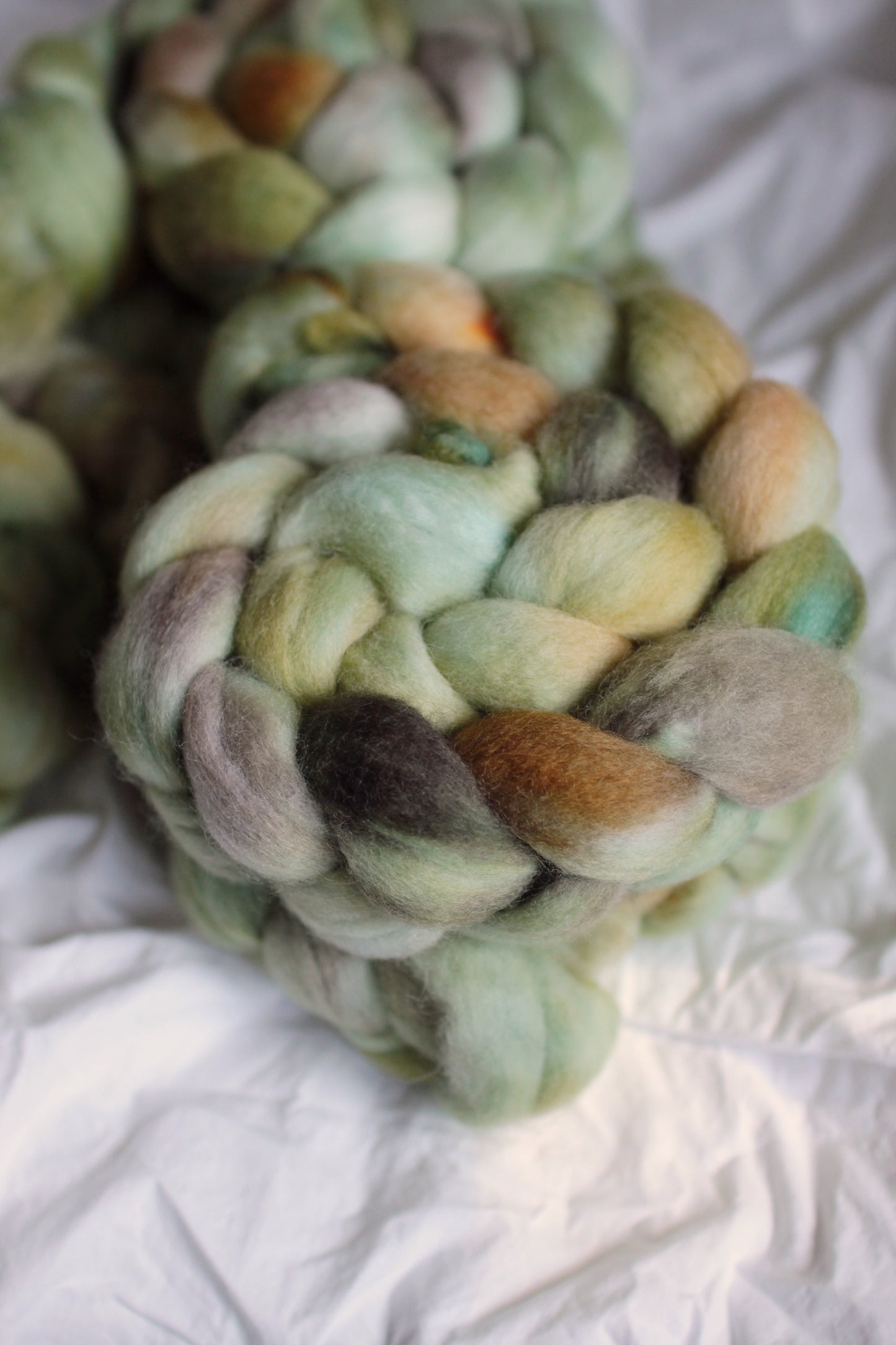 Bamboo Forest - Corriedale combed top (nonsuperwash)
