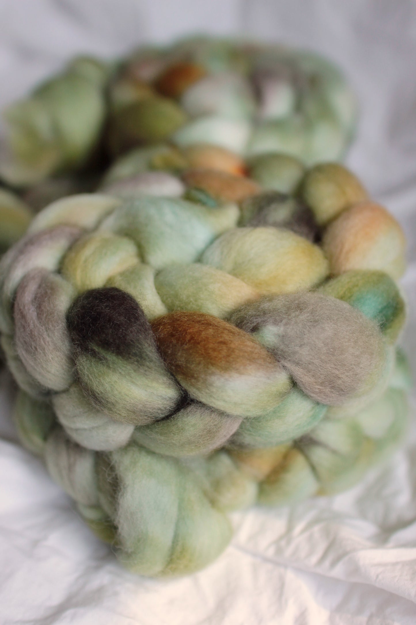 Bamboo Forest - Corriedale combed top (nonsuperwash)