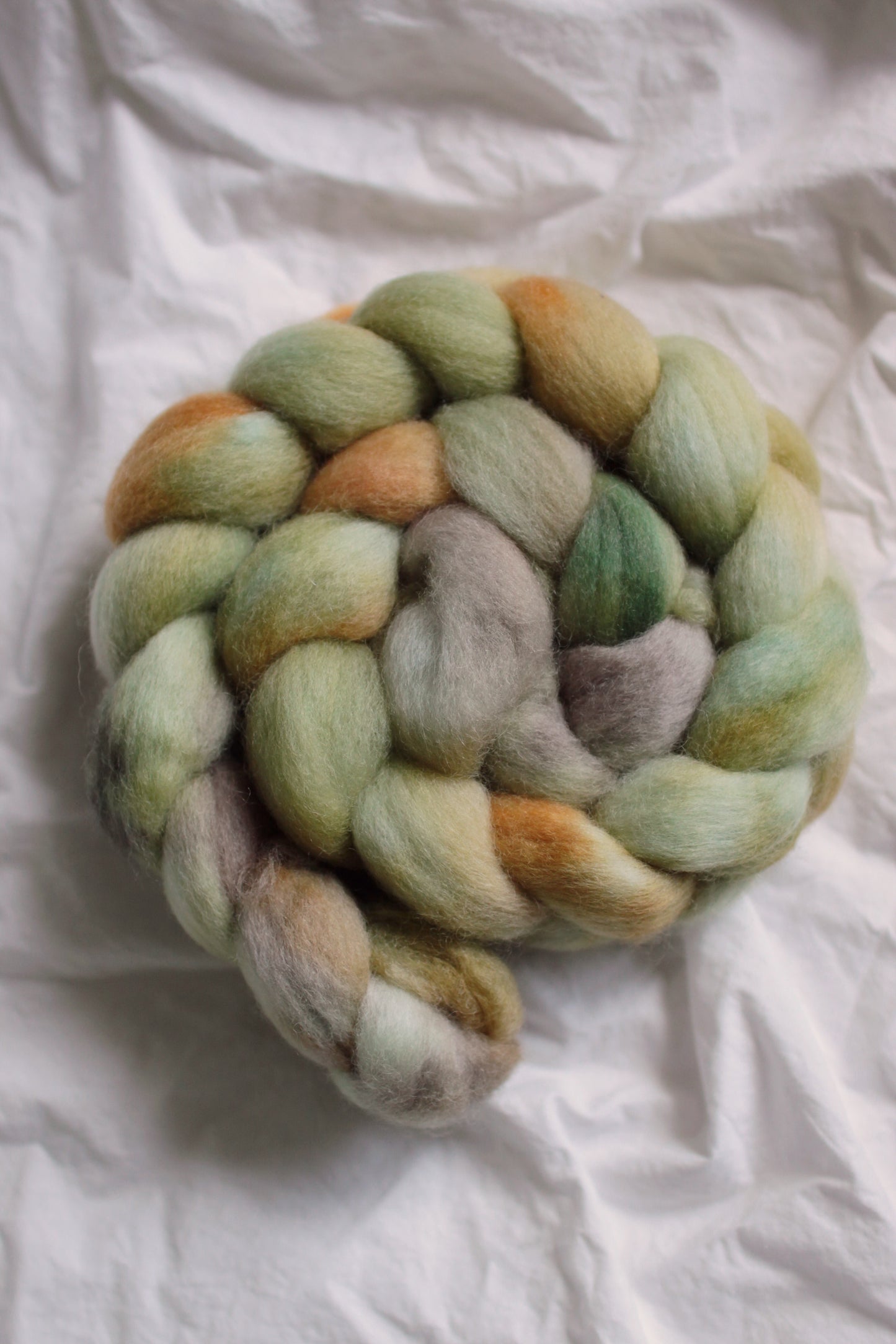 Bamboo Forest - Corriedale combed top (nonsuperwash)