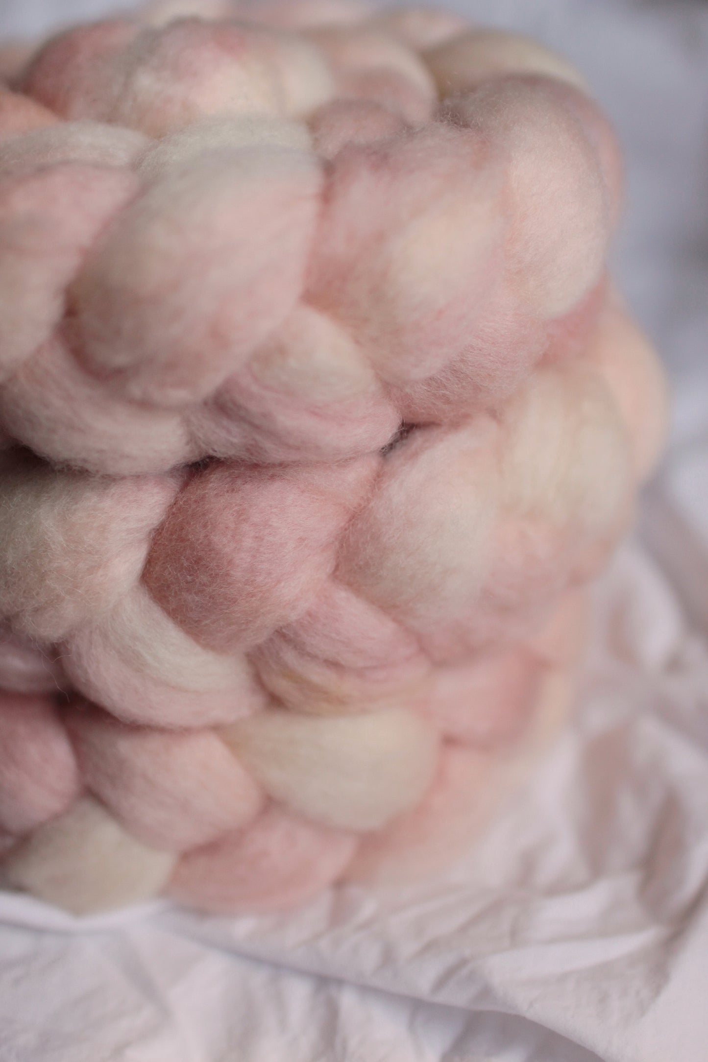 Peach Fuzz - BFL combed top (nonsuperwash)