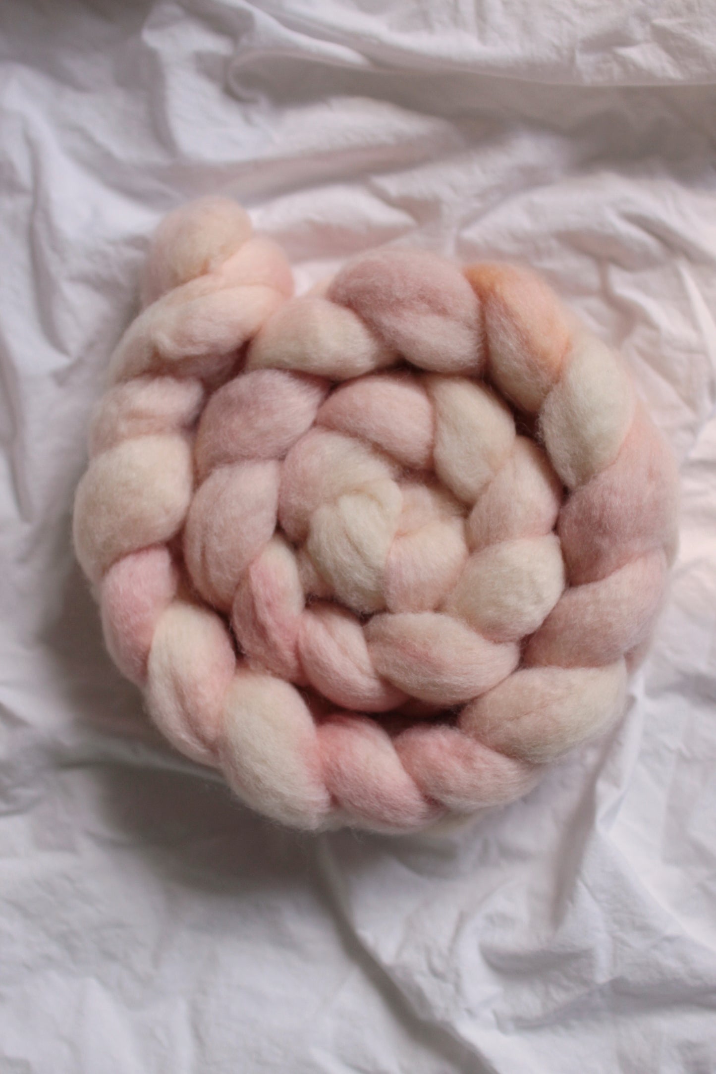 Peach Fuzz - BFL combed top (nonsuperwash)