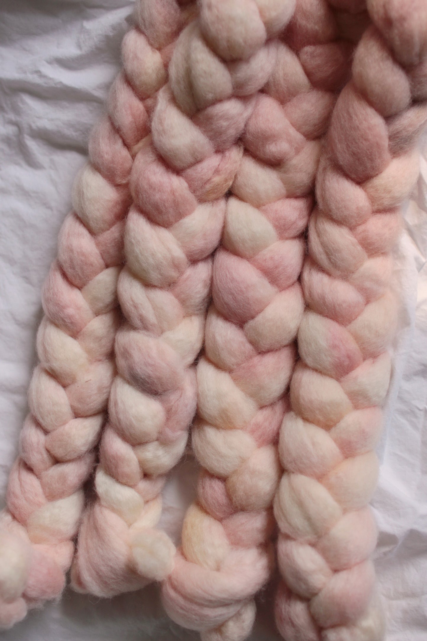 Peach Fuzz - BFL combed top (nonsuperwash)