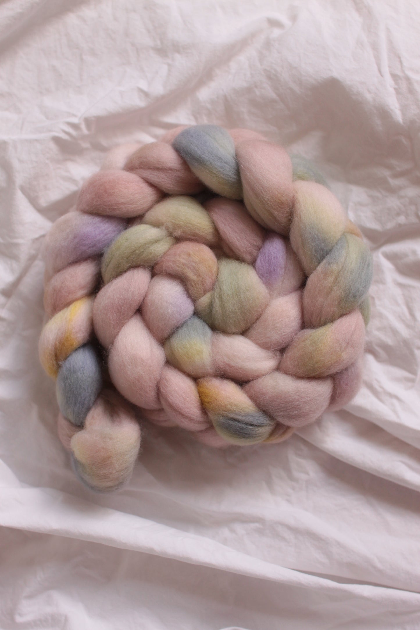 Floating Lily *Batch A* - Polwarth combed top (nonsuperwash)