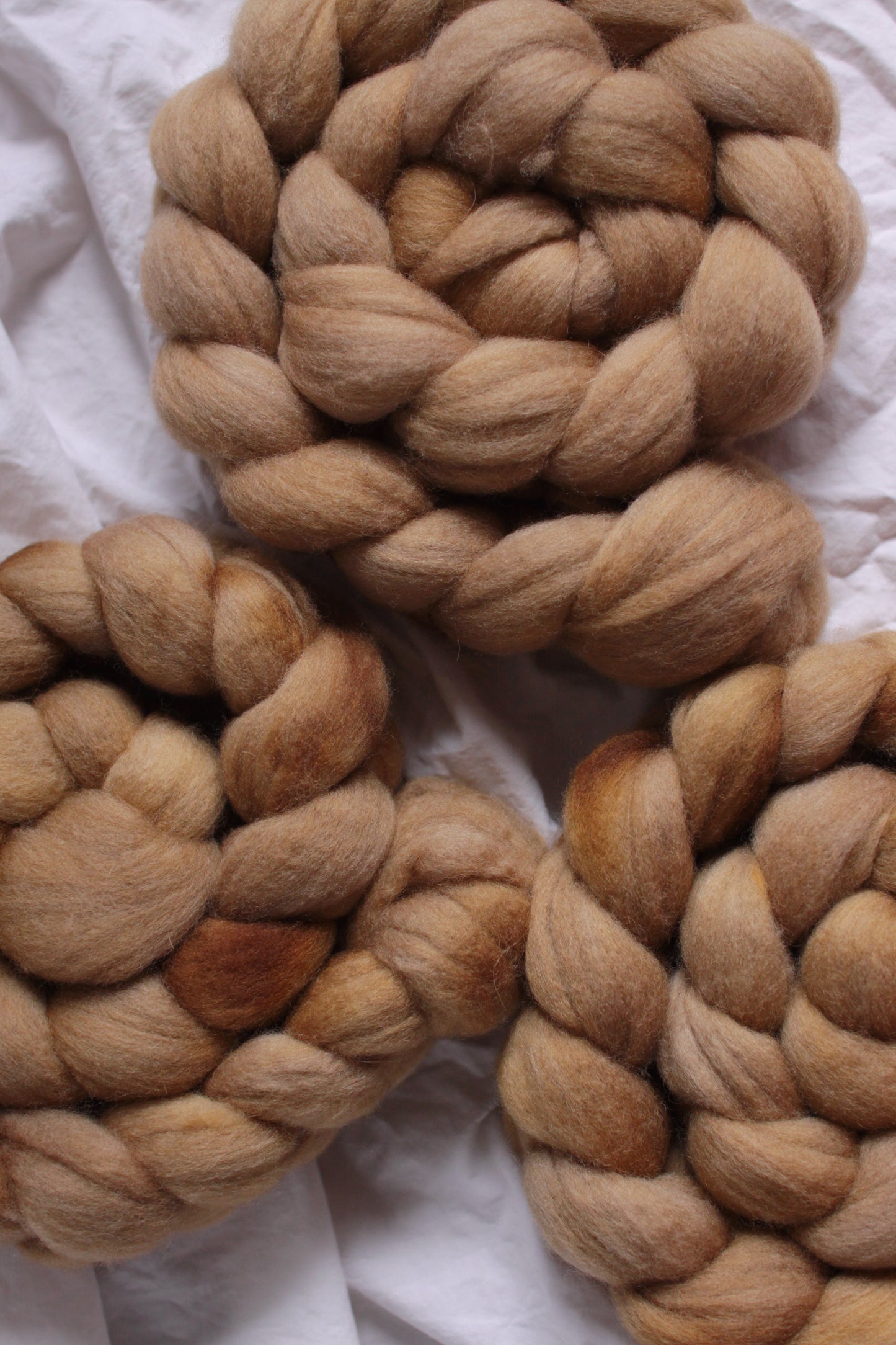 Mustard Seed - Polwarth combed top (nonsuperwash)