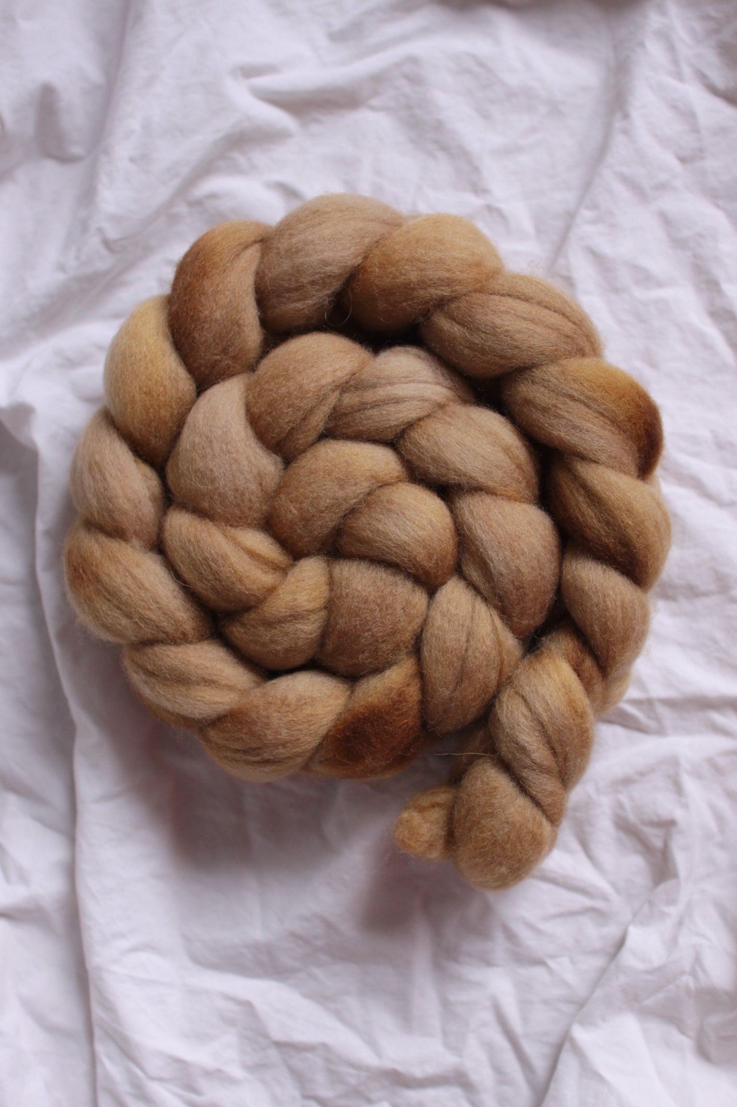 Mustard Seed - Polwarth combed top (nonsuperwash)