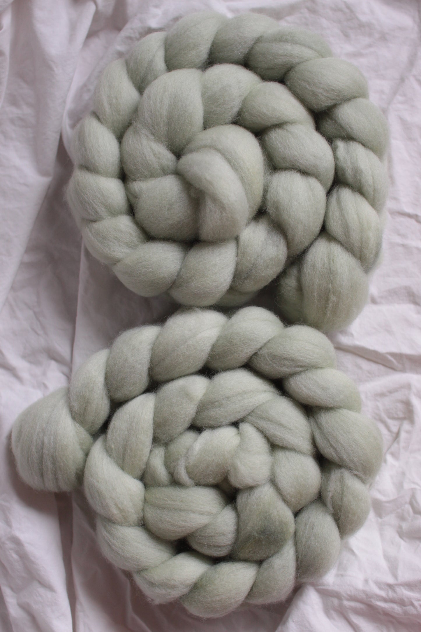 Dewgrass - Polwarth combed top (nonsuperwash)