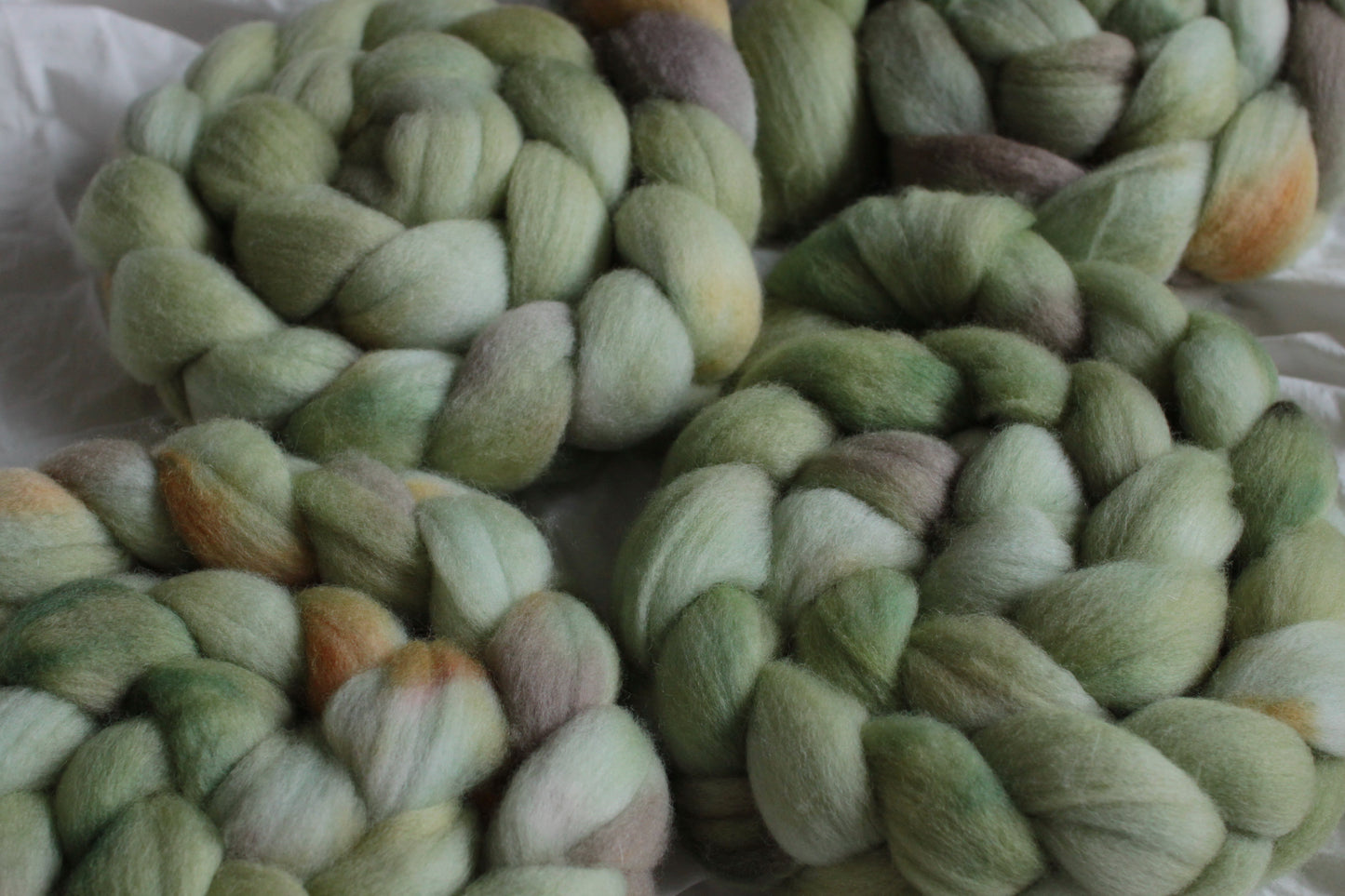 Bamboo Forest - Polwarth combed top (nonsuperwash)