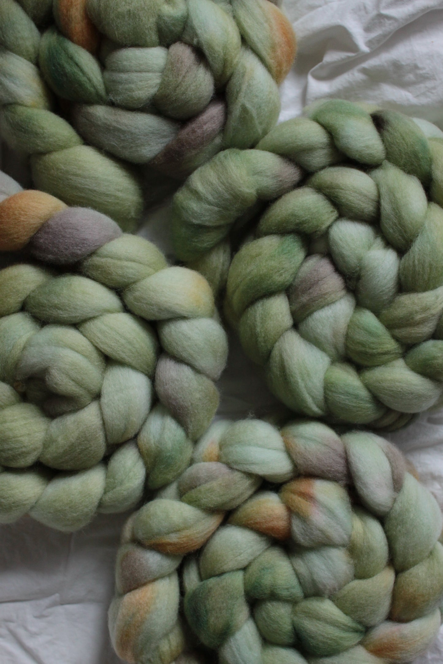 Bamboo Forest - Polwarth combed top (nonsuperwash)