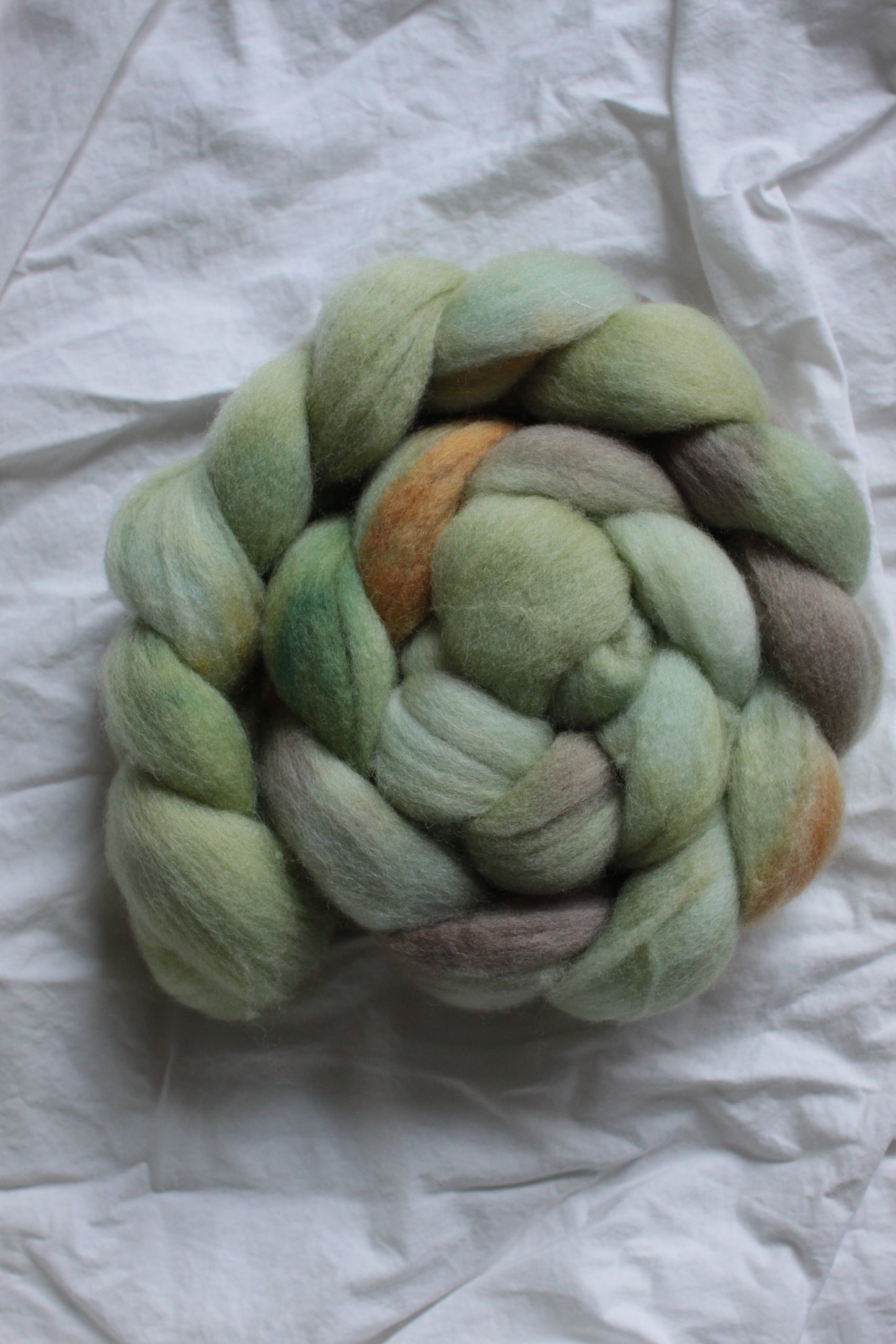 Bamboo Forest - Polwarth combed top (nonsuperwash)
