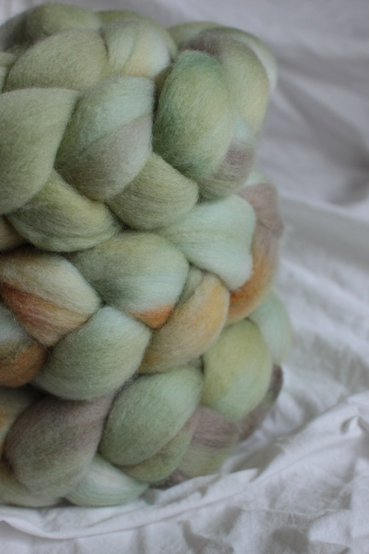 Bamboo Forest - Polwarth combed top (nonsuperwash)