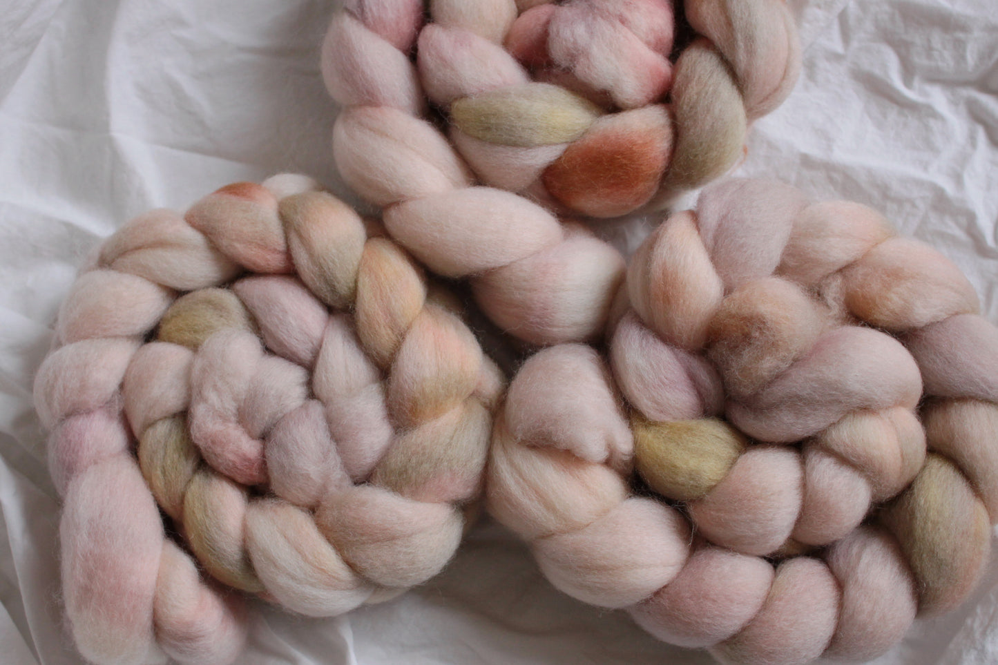 Sahara Dune - Falkland combed top (nonsuperwash)