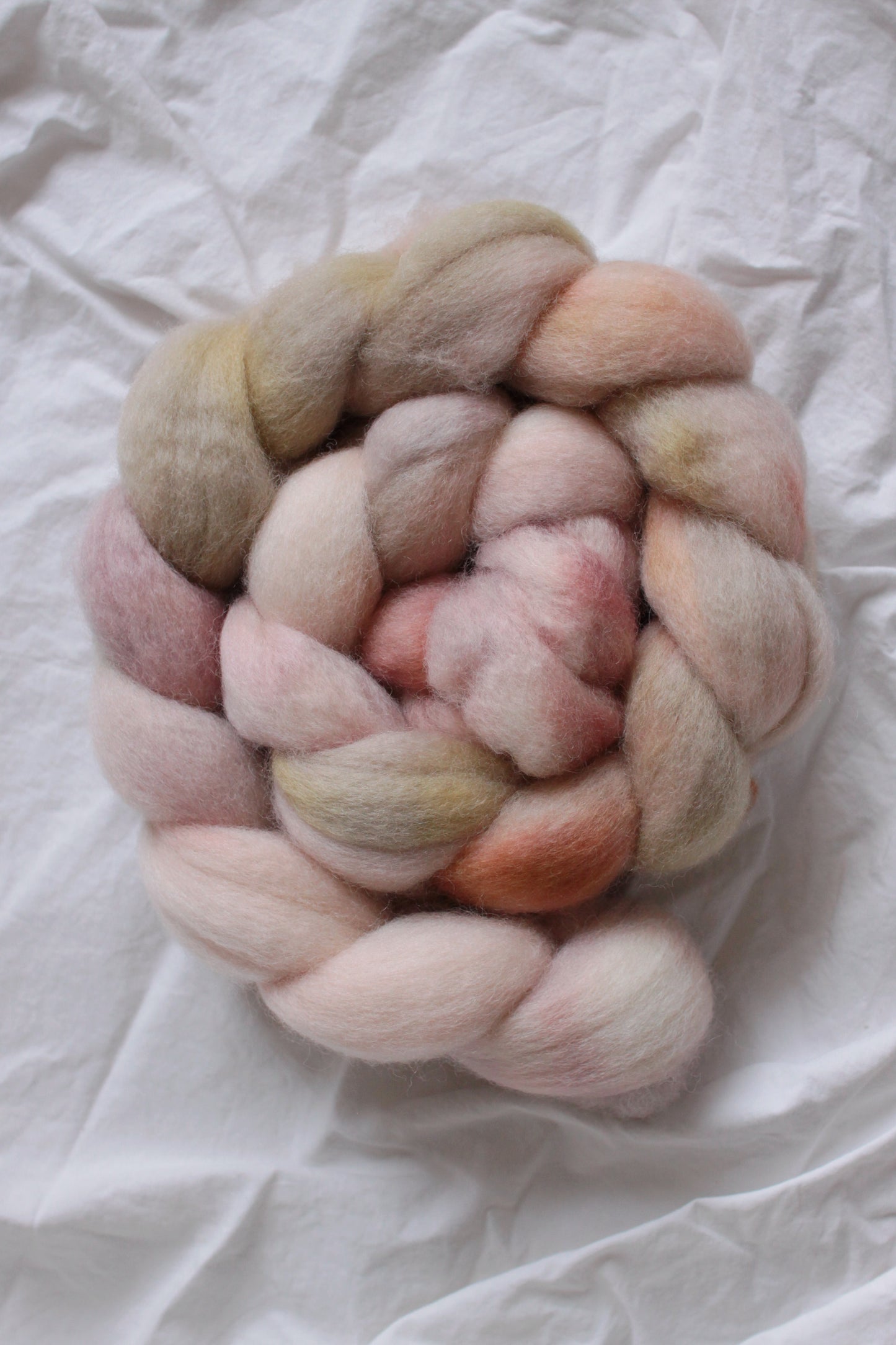 Sahara Dune - Falkland combed top (nonsuperwash)