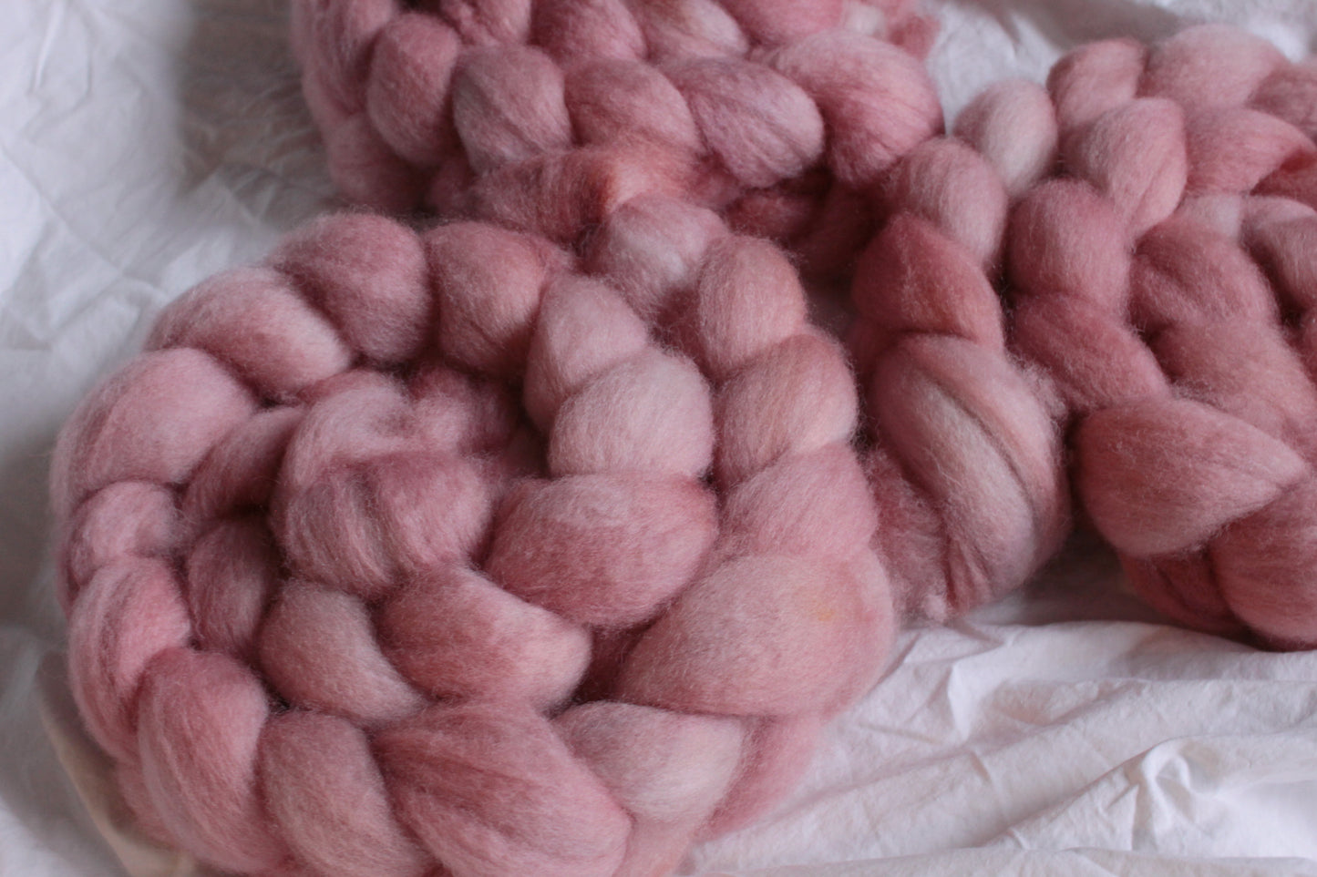 War of the Roses - BFL combed top (nonsuperwash)