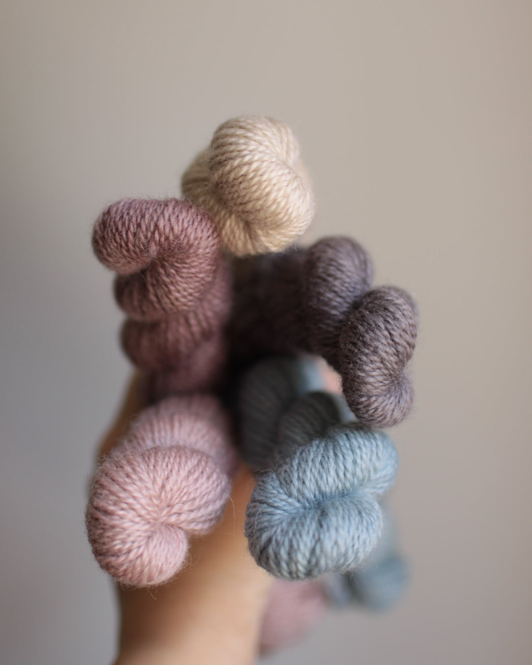 Mountain Air - 5-skein Mini Set - BFL Fingering