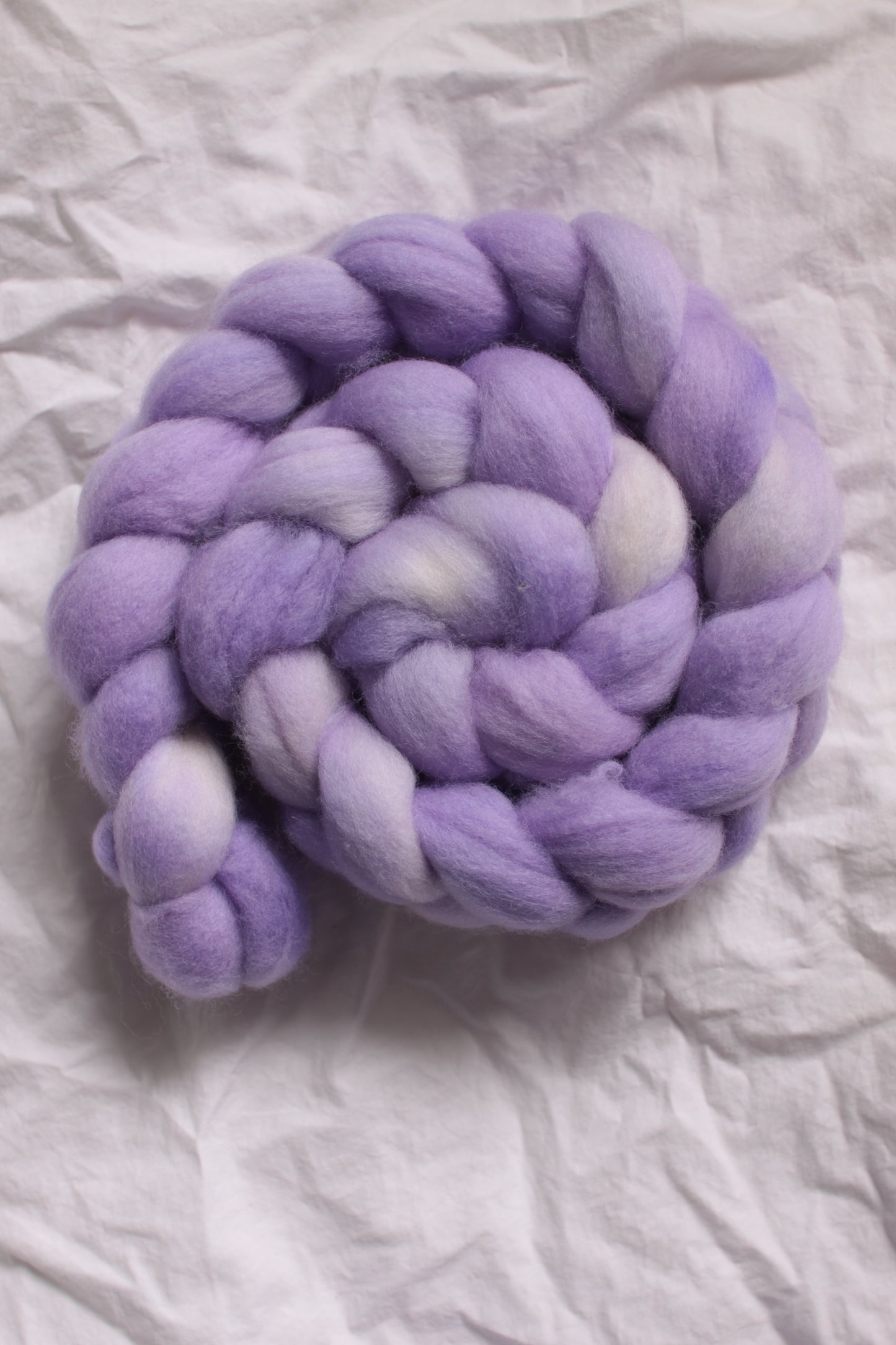 Heliotrope - Polwarth combed top (nonsuperwash)
