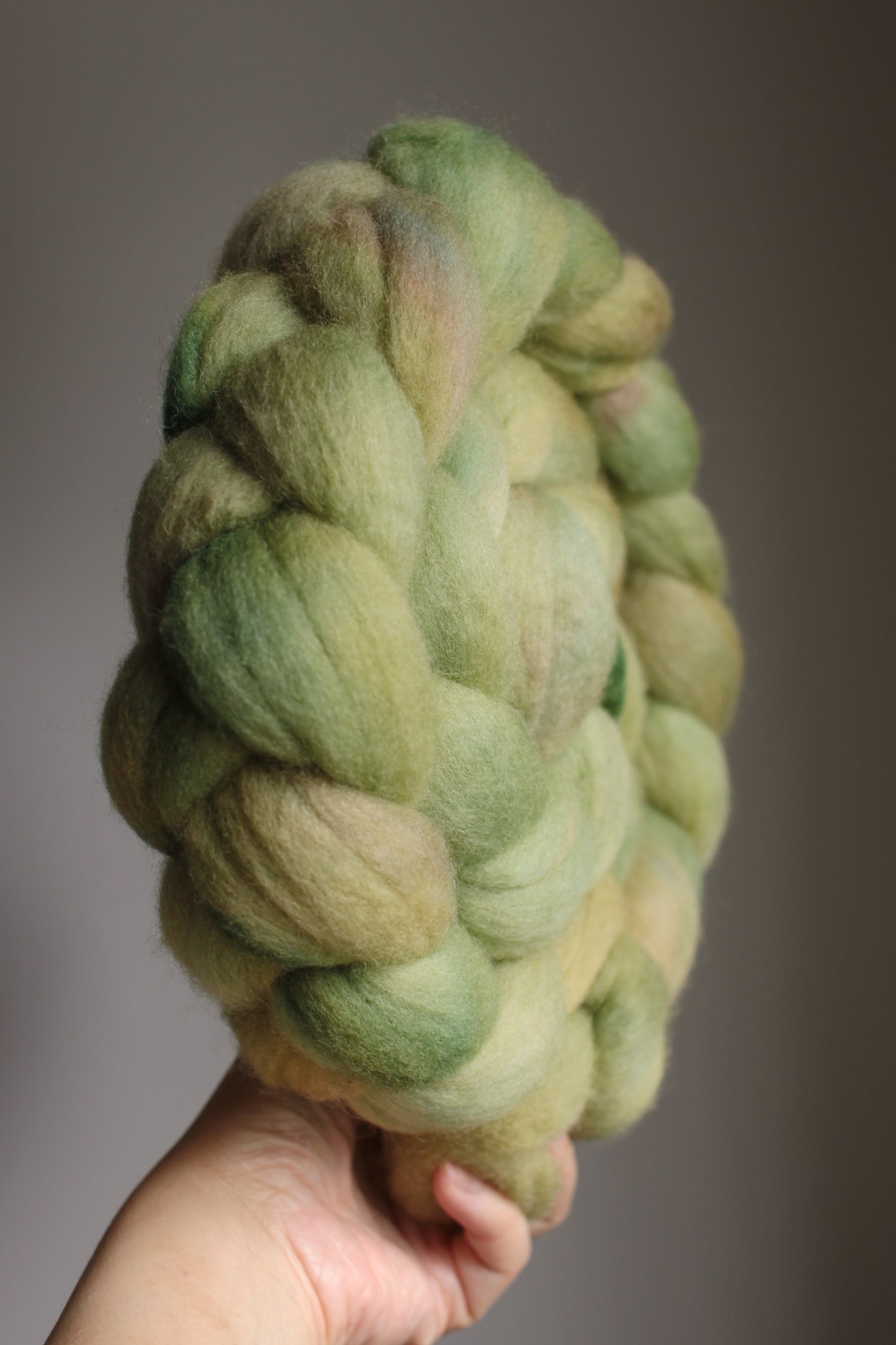 Artichoke - Cormo combed top (nonsuperwash)