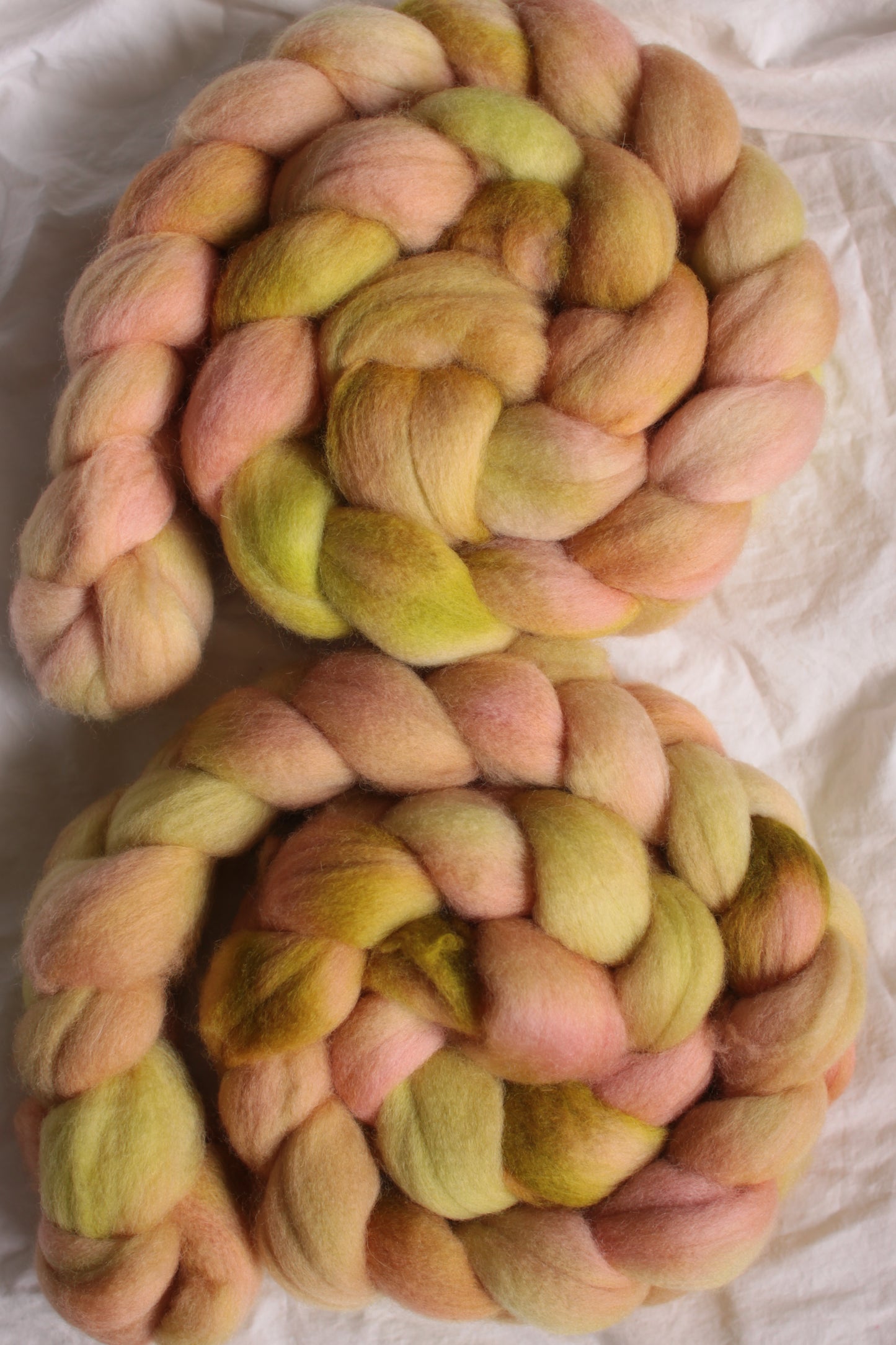 Apricot Leaf - Polwarth combed top (nonsuperwash)