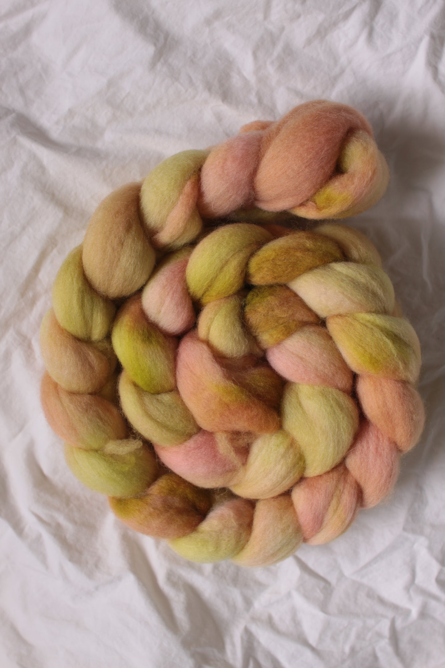 Apricot Leaf - Polwarth combed top (nonsuperwash)