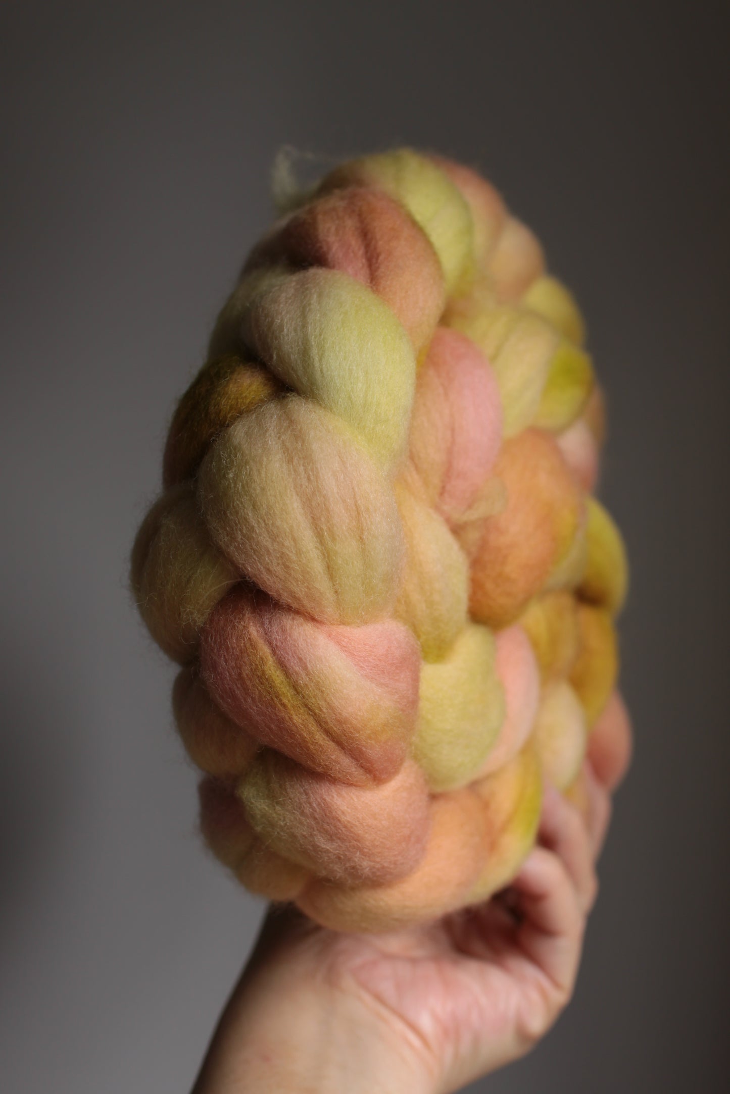 Apricot Leaf - Polwarth combed top (nonsuperwash)