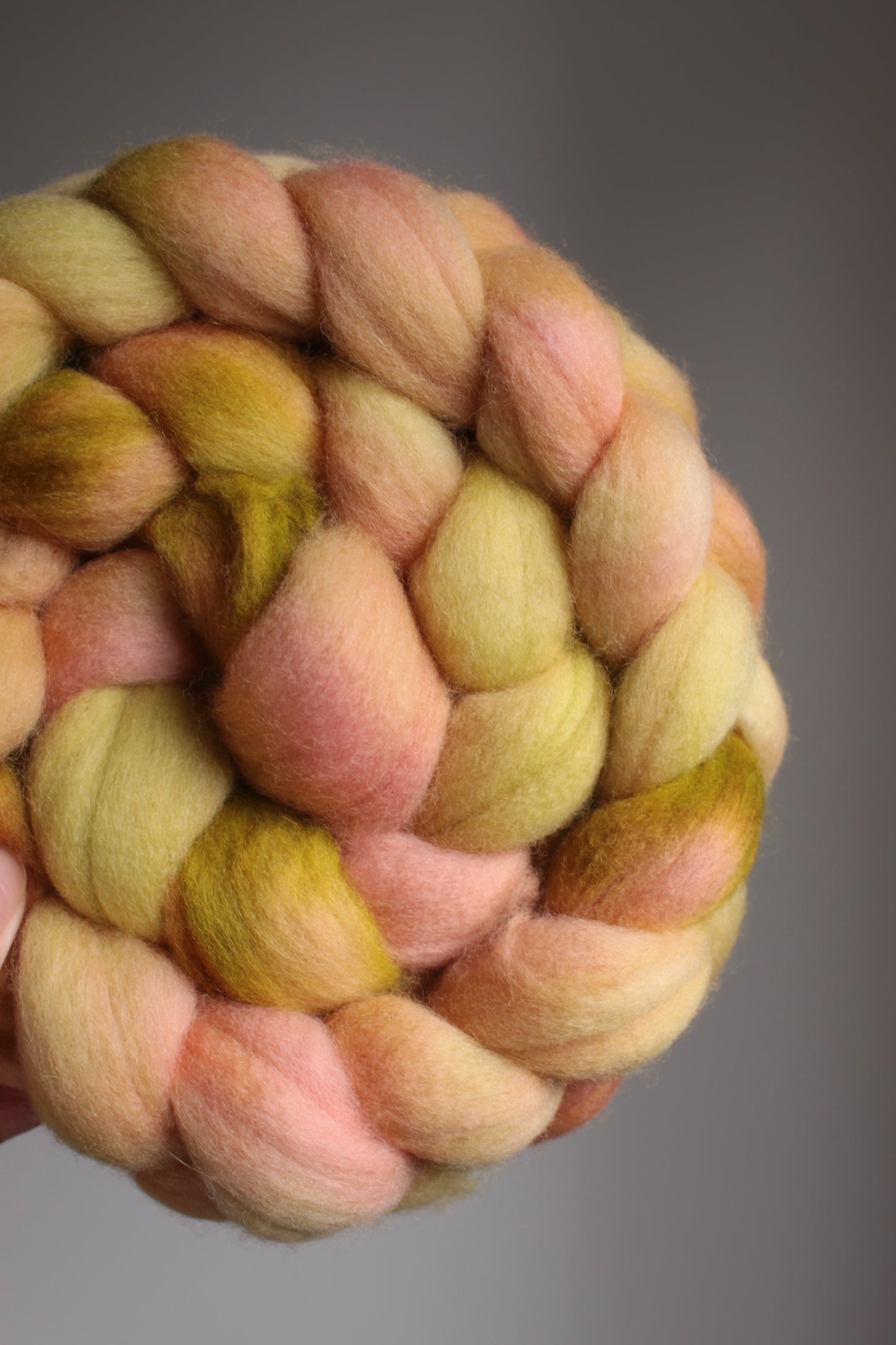 Apricot Leaf - Polwarth combed top (nonsuperwash)