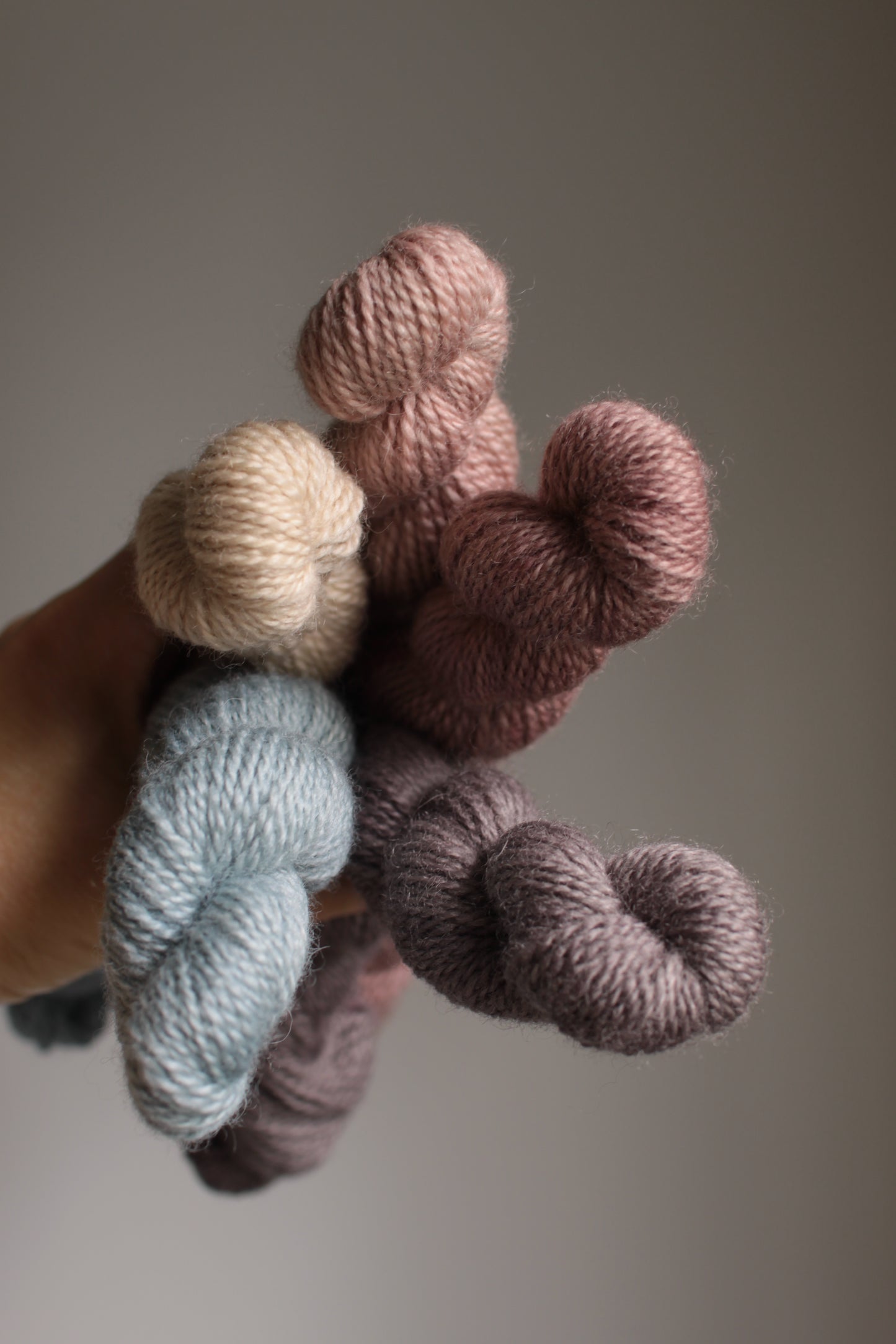 Mountain Air - 5-skein Mini Set - BFL Fingering