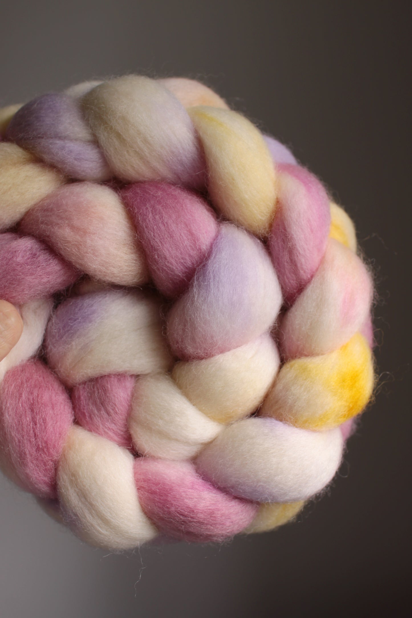 Afterparty - Falkland combed top (nonsuperwash)
