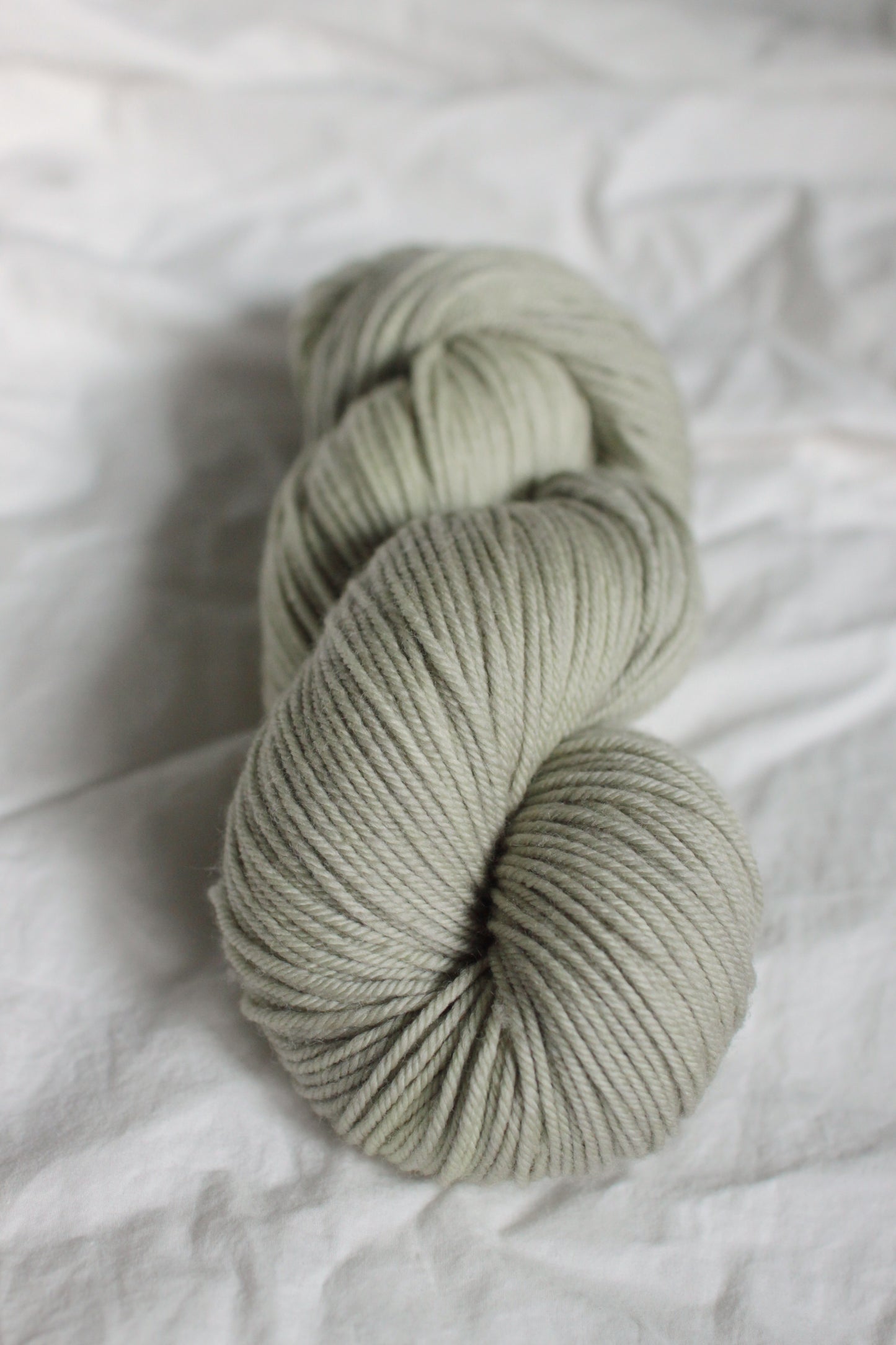 Fig Mint - Merino Worsted