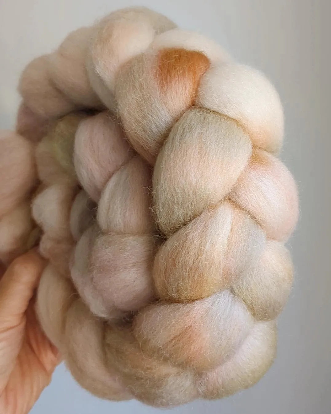 Sahara Dune - Falkland combed top (nonsuperwash)