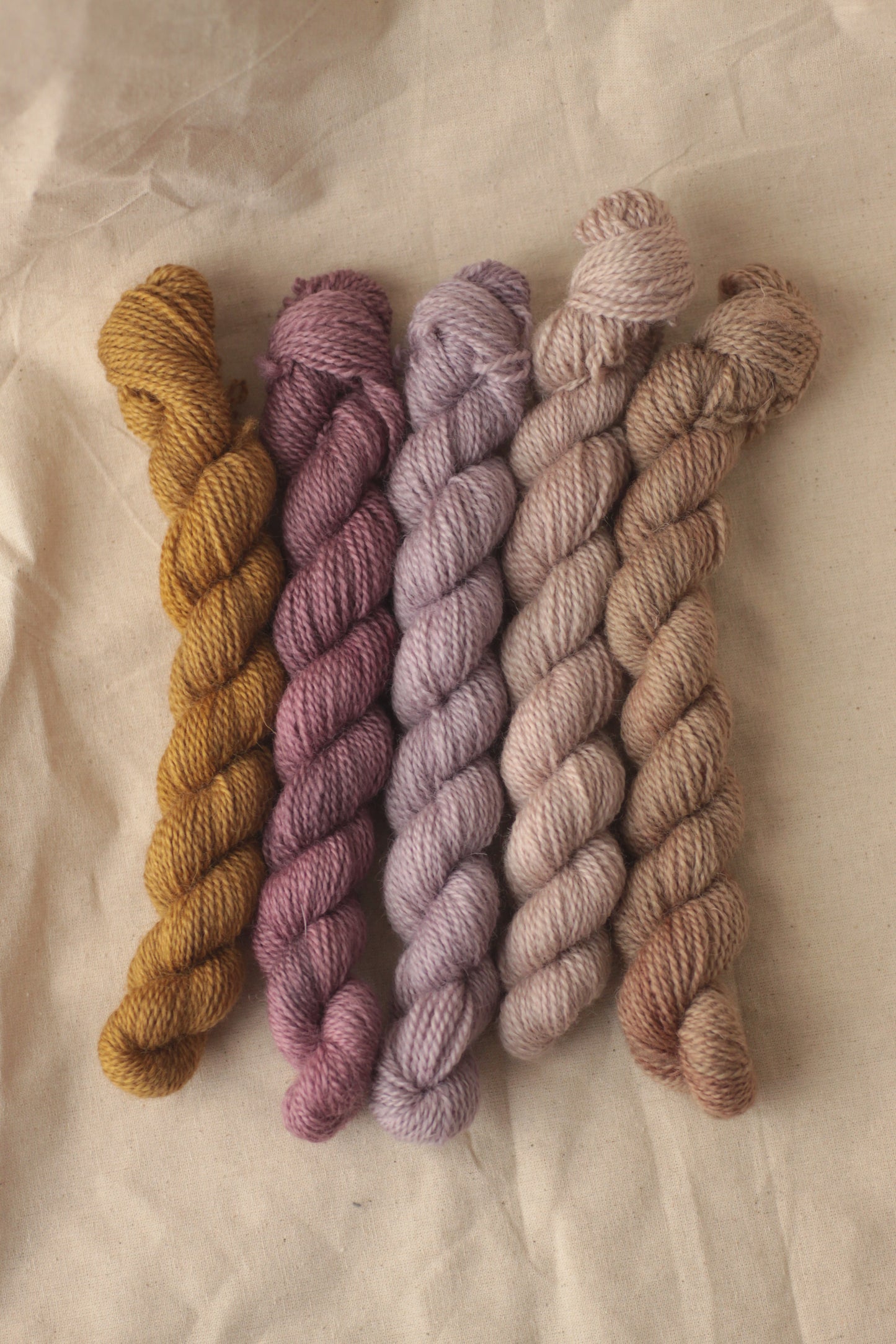 Warmth - 5-skein Mini Set - BFL Fingering