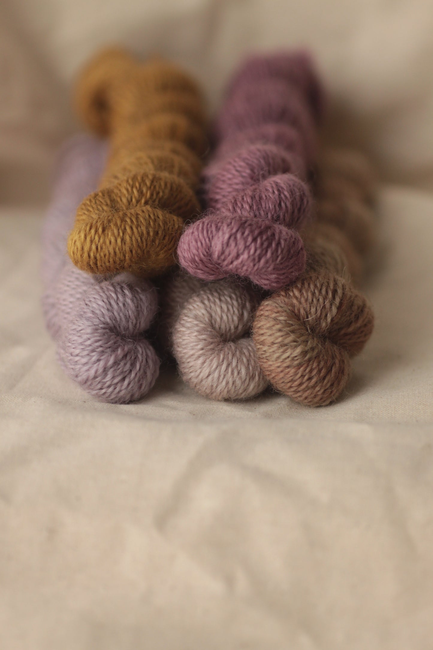 Warmth - 5-skein Mini Set - BFL Fingering