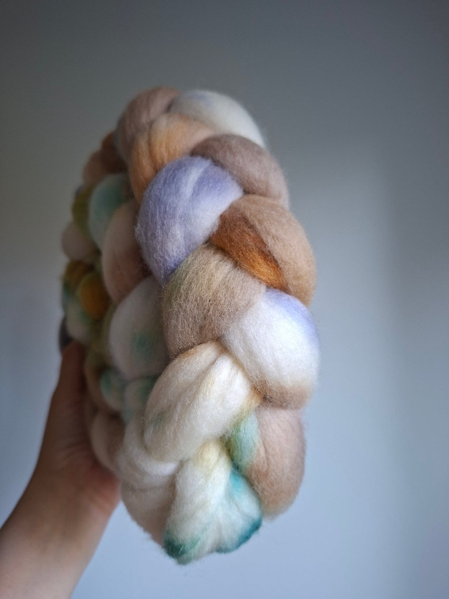 Canyon Trail - Polwarth combed top (nonsuperwash)