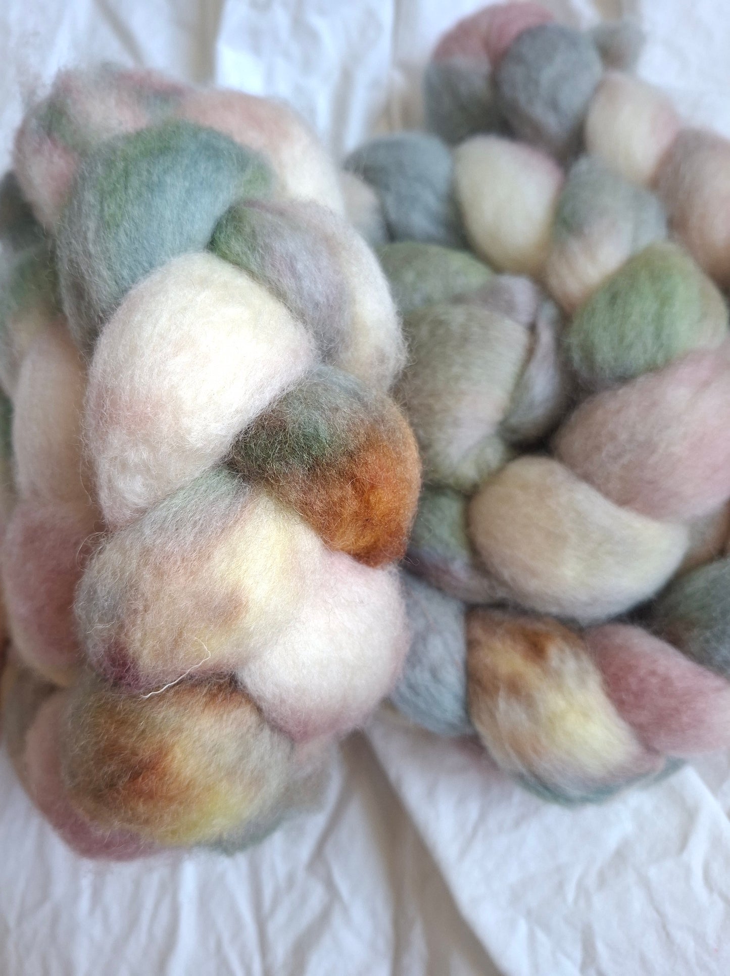 Water Lillies - BFL combed top (nonsuperwash)